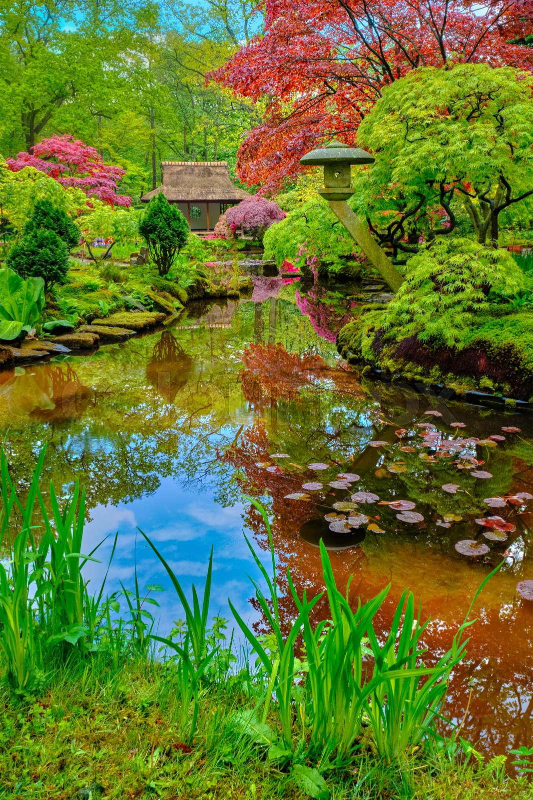 1067x1600 Japanese garden, Park Clingendael, The Hague, Netherlands