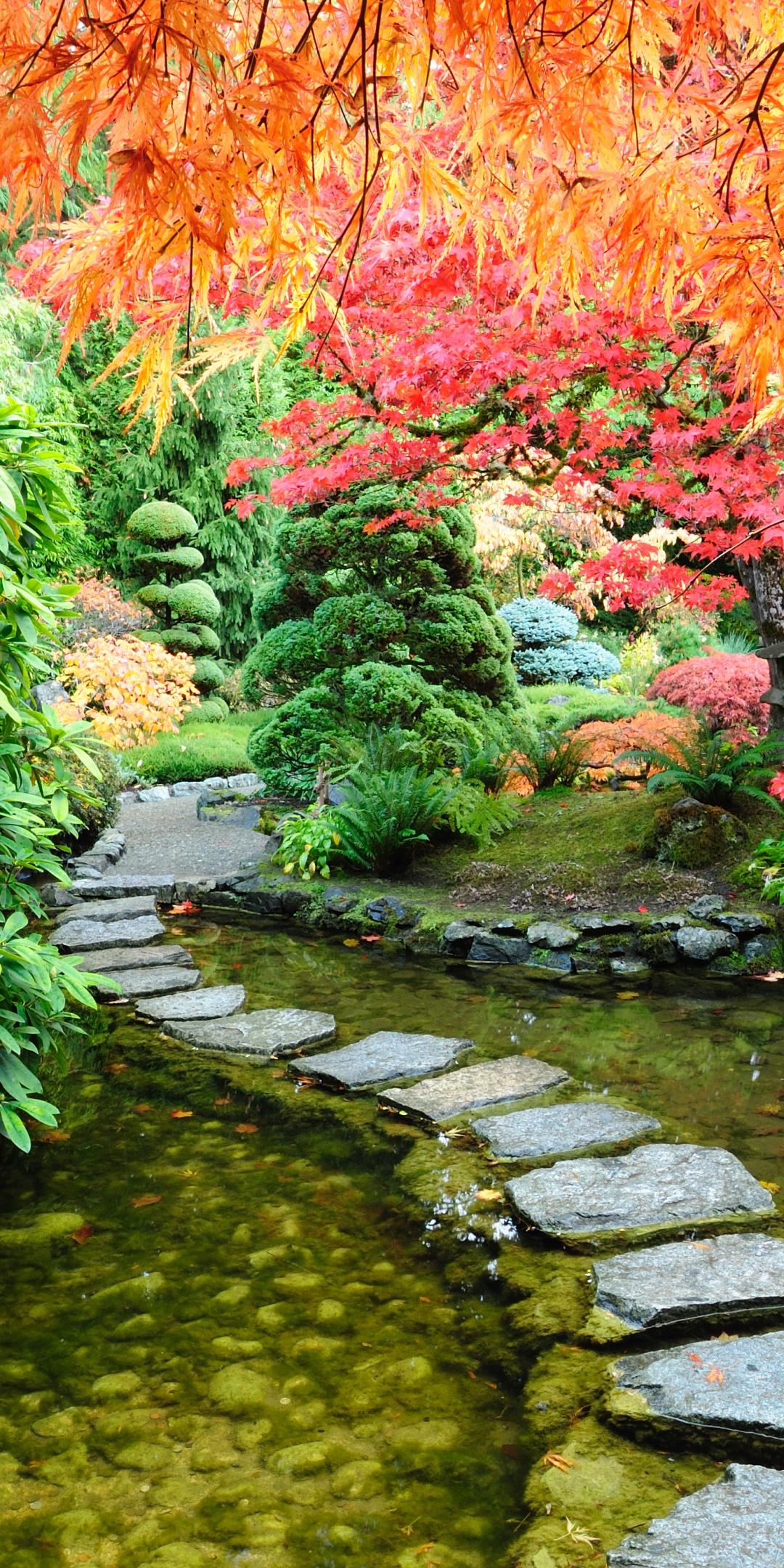 1080x2160 Wallpaper / Man Made Japanese Garden Phone Wallpaper, Pond, Fall, Path, 1080x2160 free download