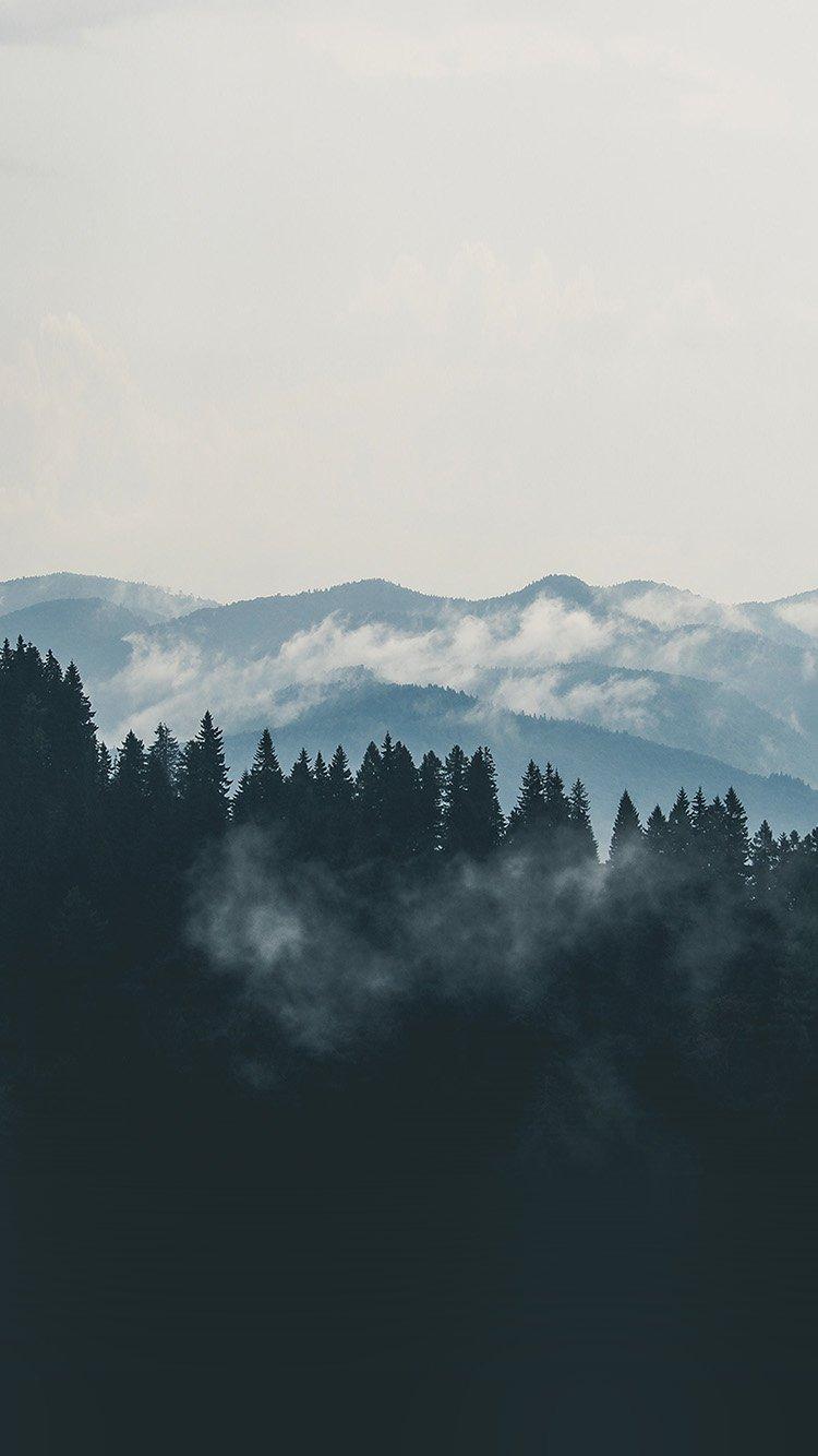750x1334 iPhone6papers.co. iPhone 6 wallpaper. mountain fog nature view wood forest