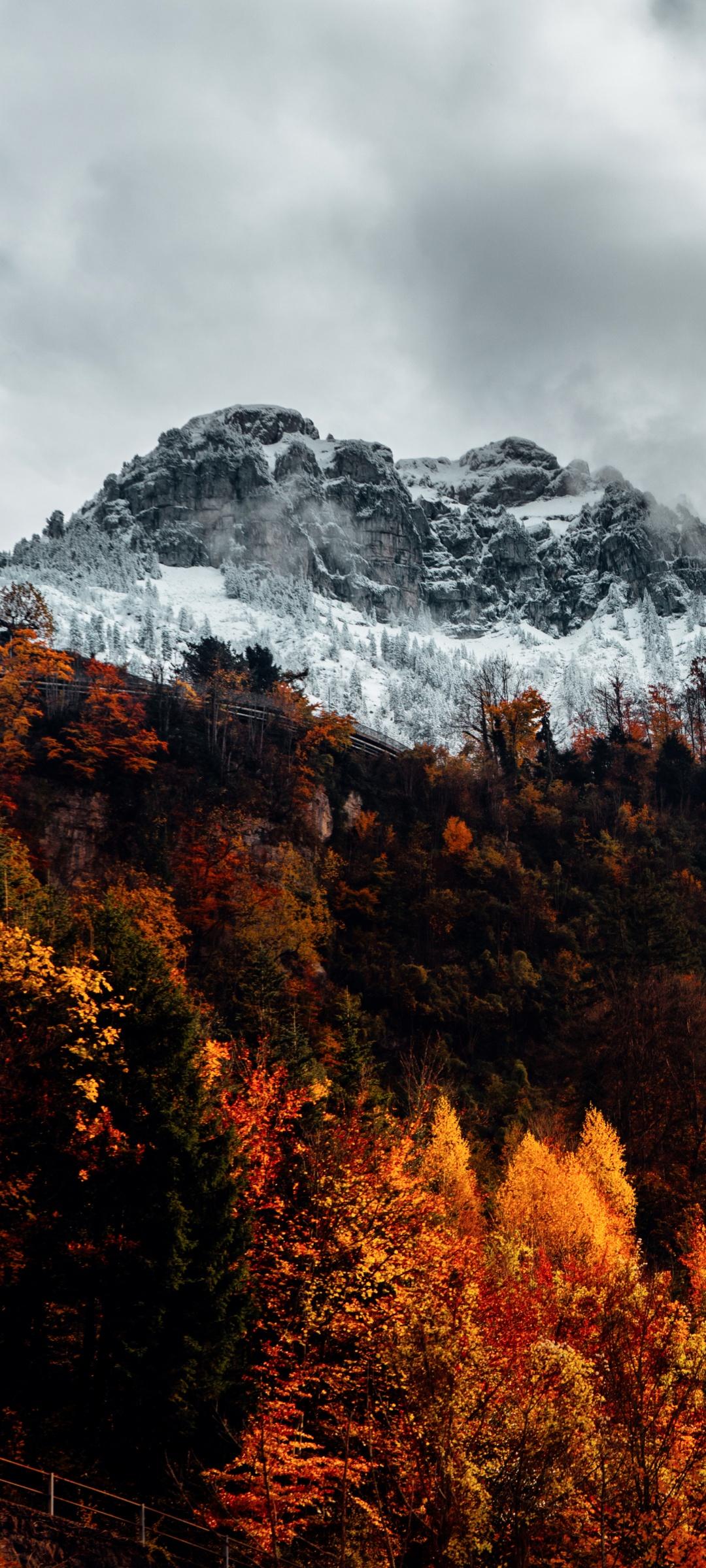 1080x2400 Alps Wallpaper 4K, Autumn, mountains, Nature