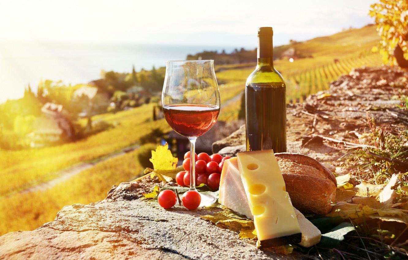 1332x850 Wallpaper the sun, rays, wine, glass, cheese, grapes, grape, cheese image for desktop, section еда