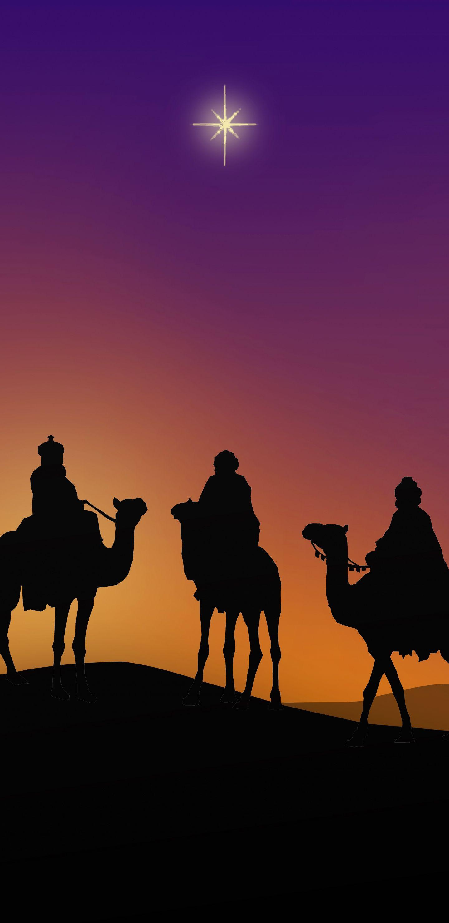 1440x2960 Download 1440x2960 wallpaper epiphany, camel, silhouette, minimal