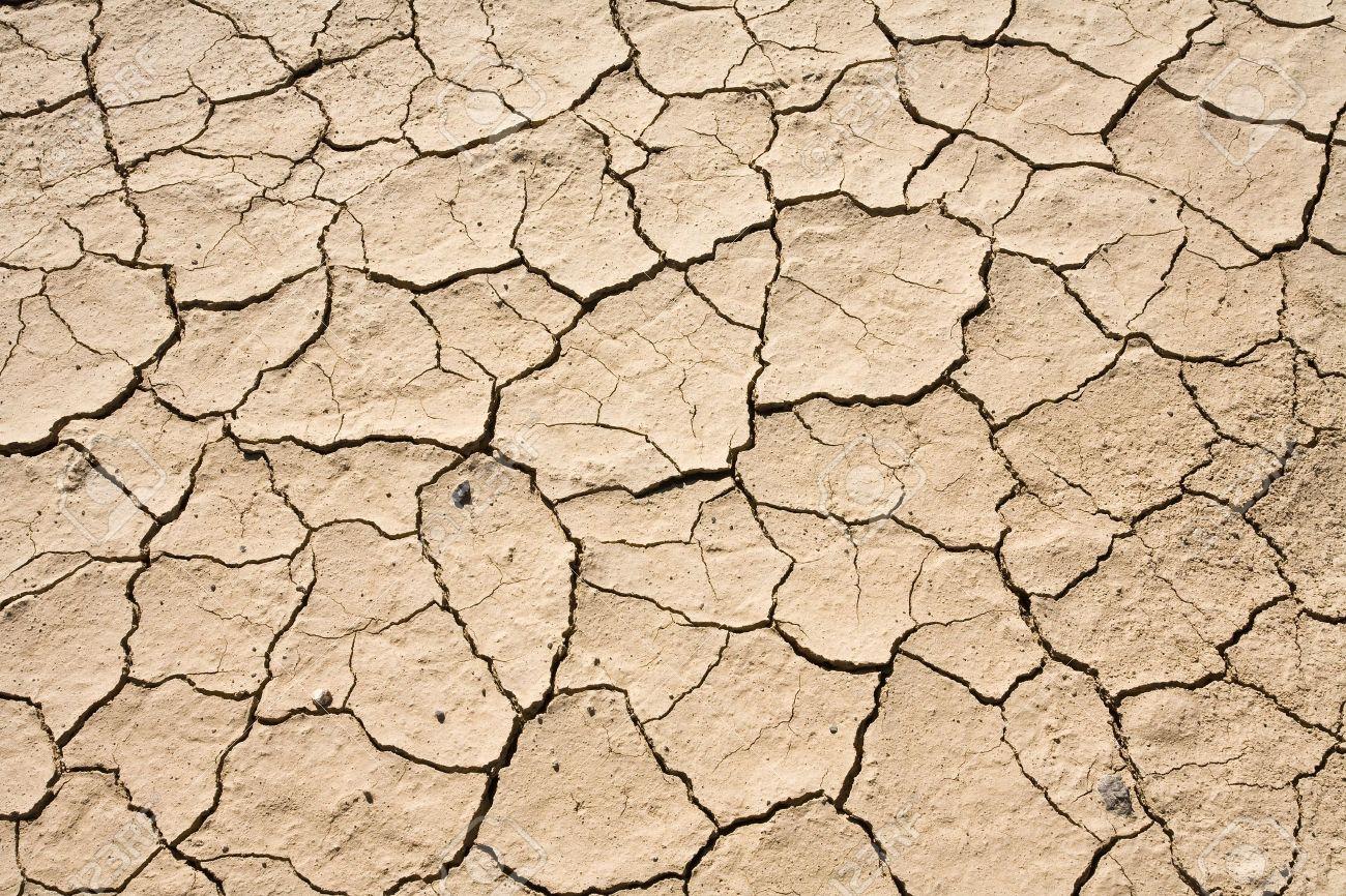 1300x866 Free download Dry Mud Cracked Desert Ground Abstract Background PatternDeath [1300x866] for your Desktop, Mobile & Tablet. Explore Dry Background. Dry Strippable Wallpaper