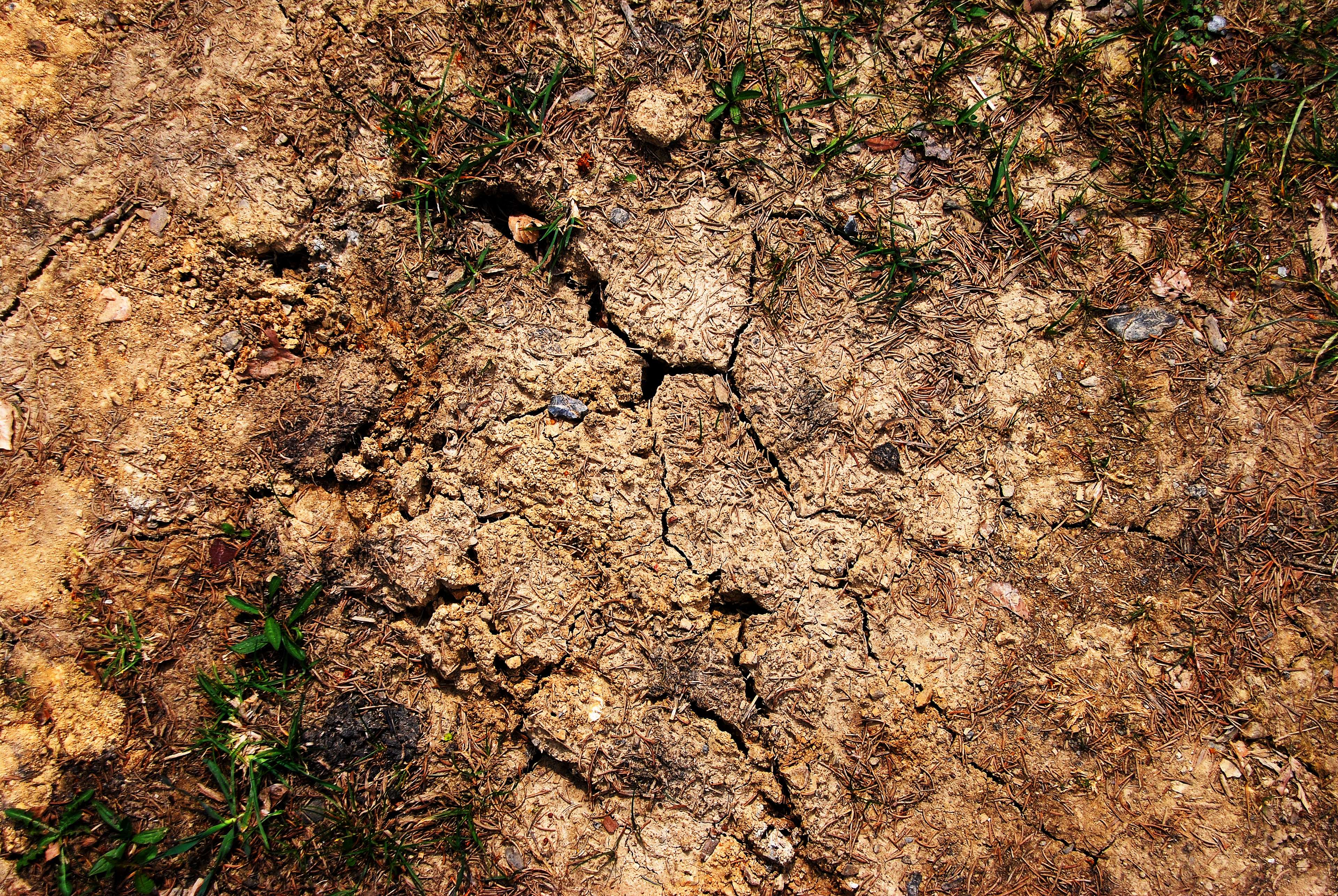 3840x2571 cracked, earth, ground 4k Gallery HD Wallpaper