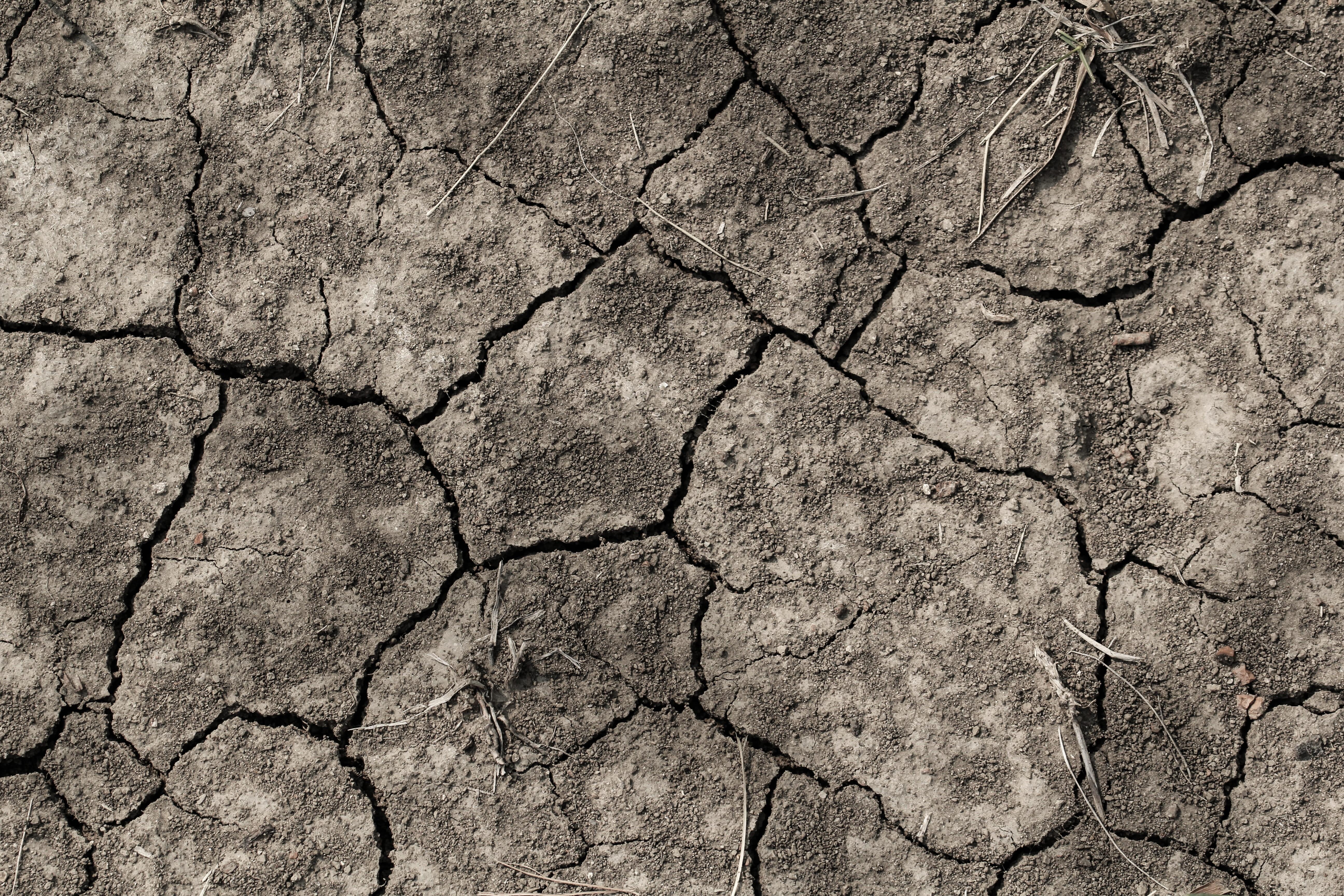 5184x3456 Wallpaper / full frame, scenics, dry, background, dirt, dead, 5K, cracked, textured, hot, ground, mud, dehydrated, dried, natural pattern, earth, abstract background free download