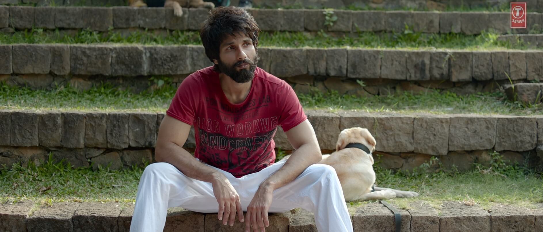 1887x807 Analysis of a Blockbuster: KABIR SINGH(2019)