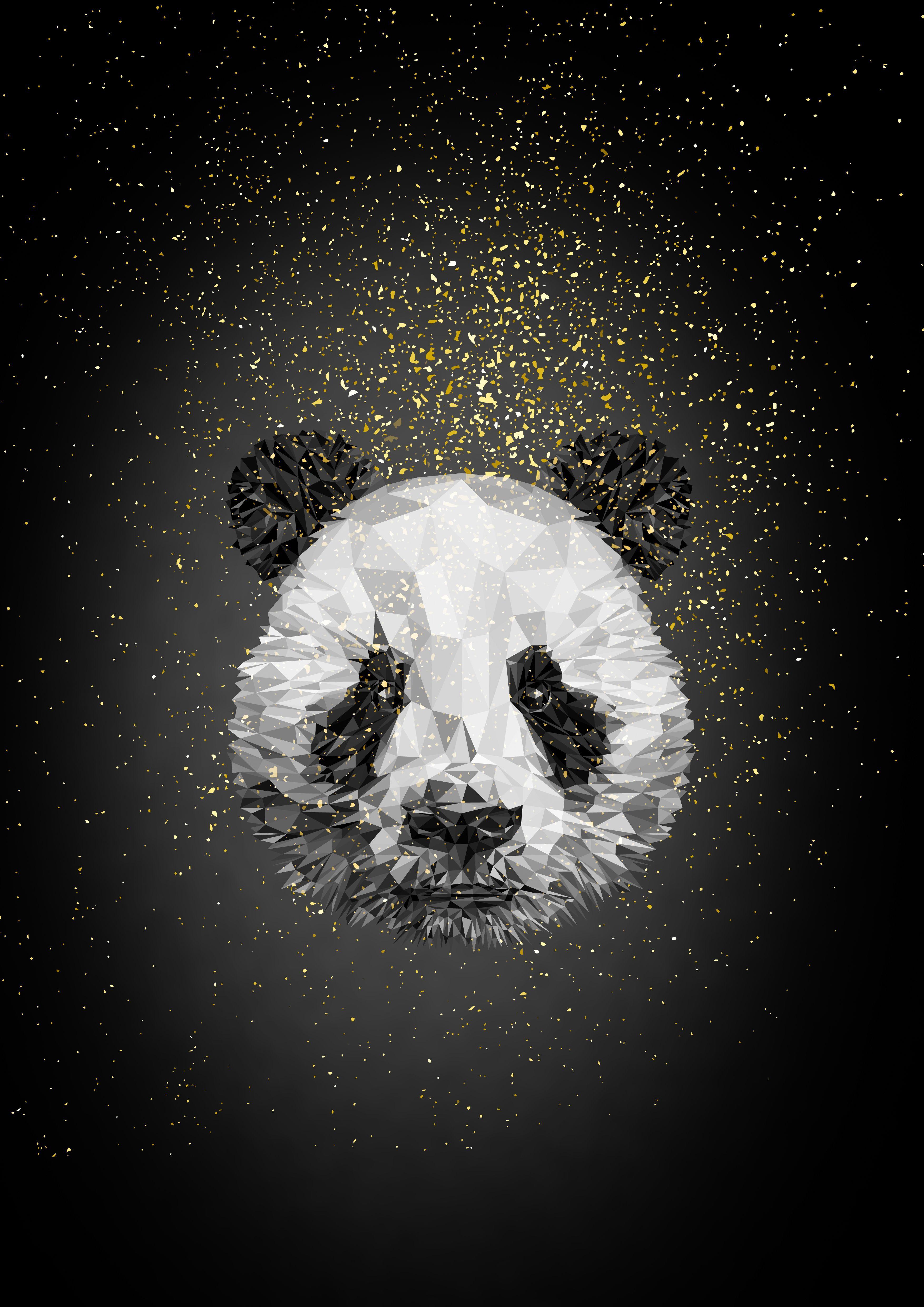 Black and White Panda Wallpapers Top Free Black and White Panda