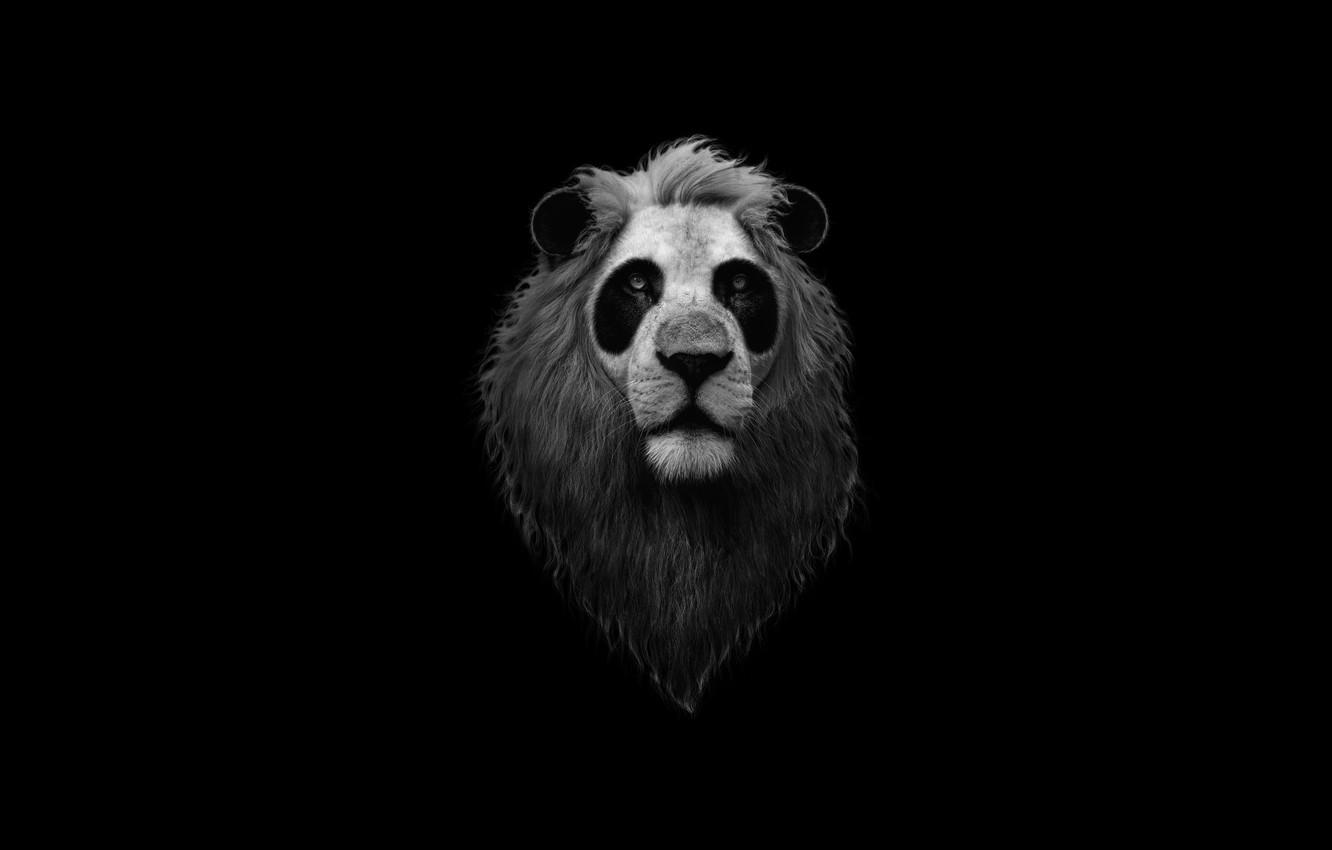 1332x850 Wallpaper Minimalism, Panda, Style, Leo, Face, Mane, Art, Art, Predator, Style, Lion, Animal, Minimalism, Animal, Panda, Black And White image for desktop, section минимализм