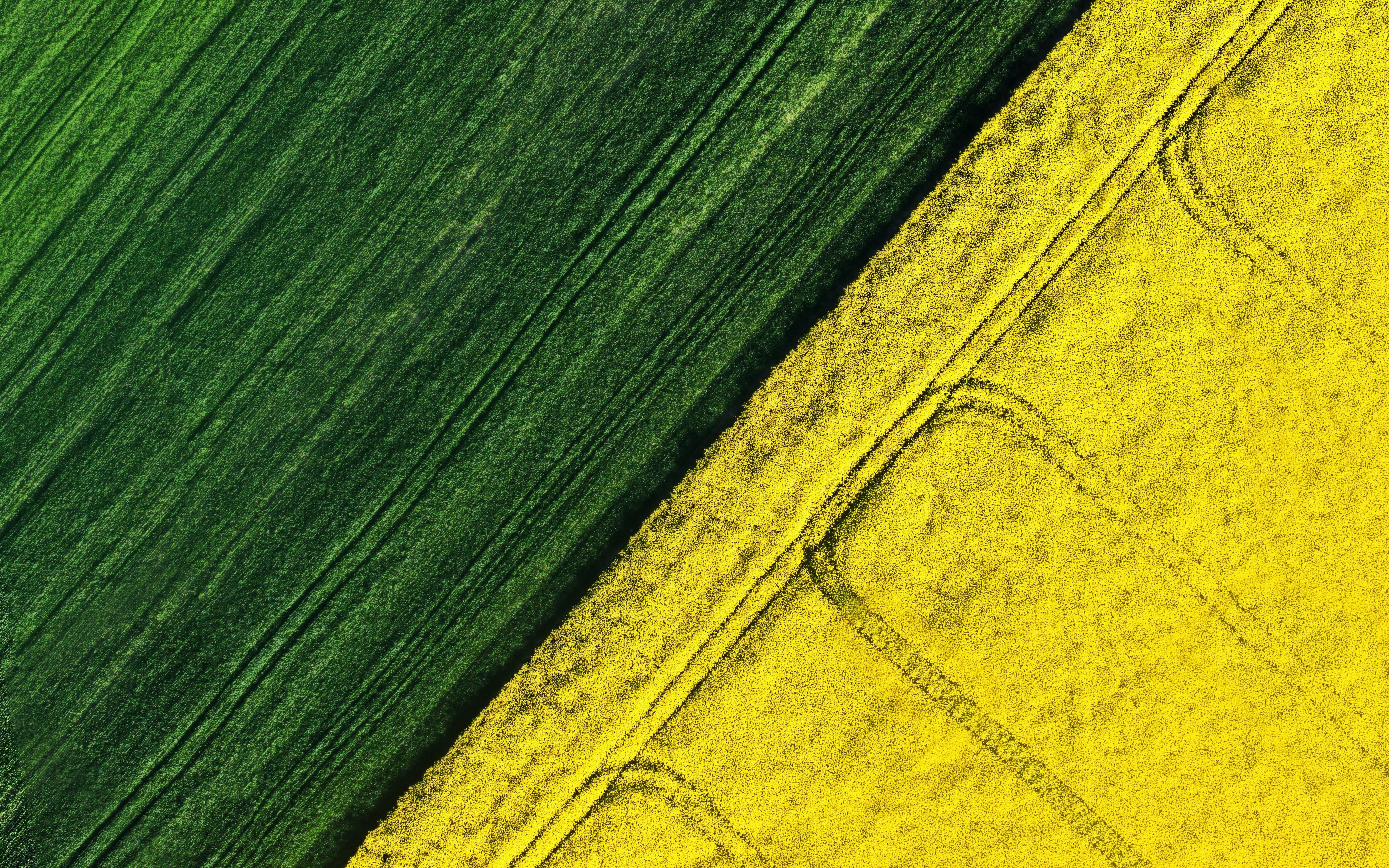 5000x3125 Wallpaper / Acer, laptop, green, aerial view, field free download