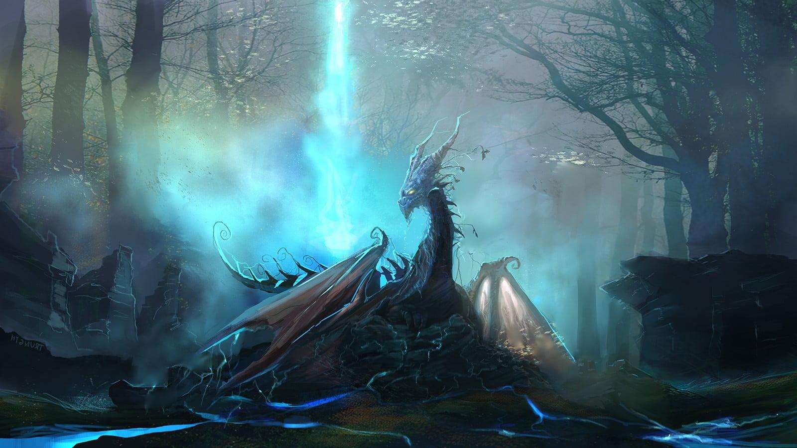 1600x900 Dragon Fantasy Wallpaper