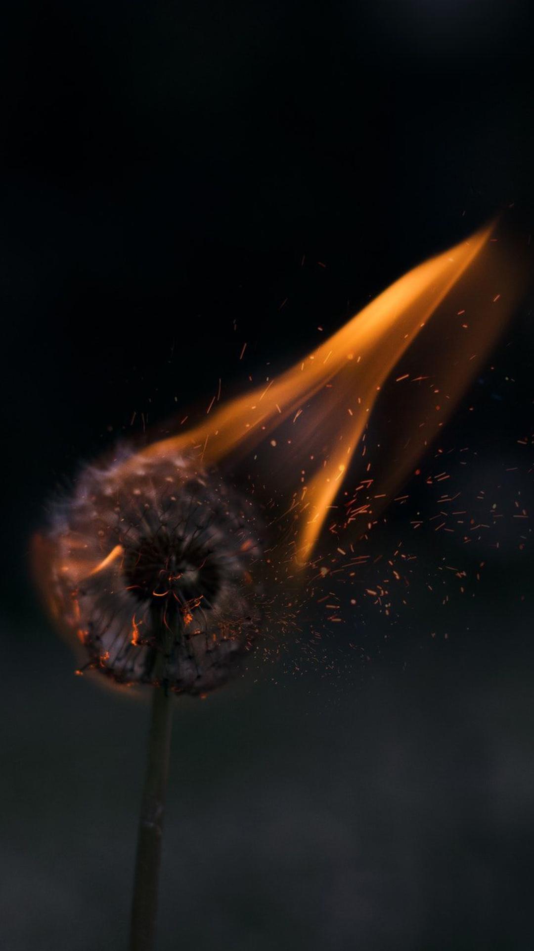 1080x1920 Edgy Aesthetic Wallpaper iPhone