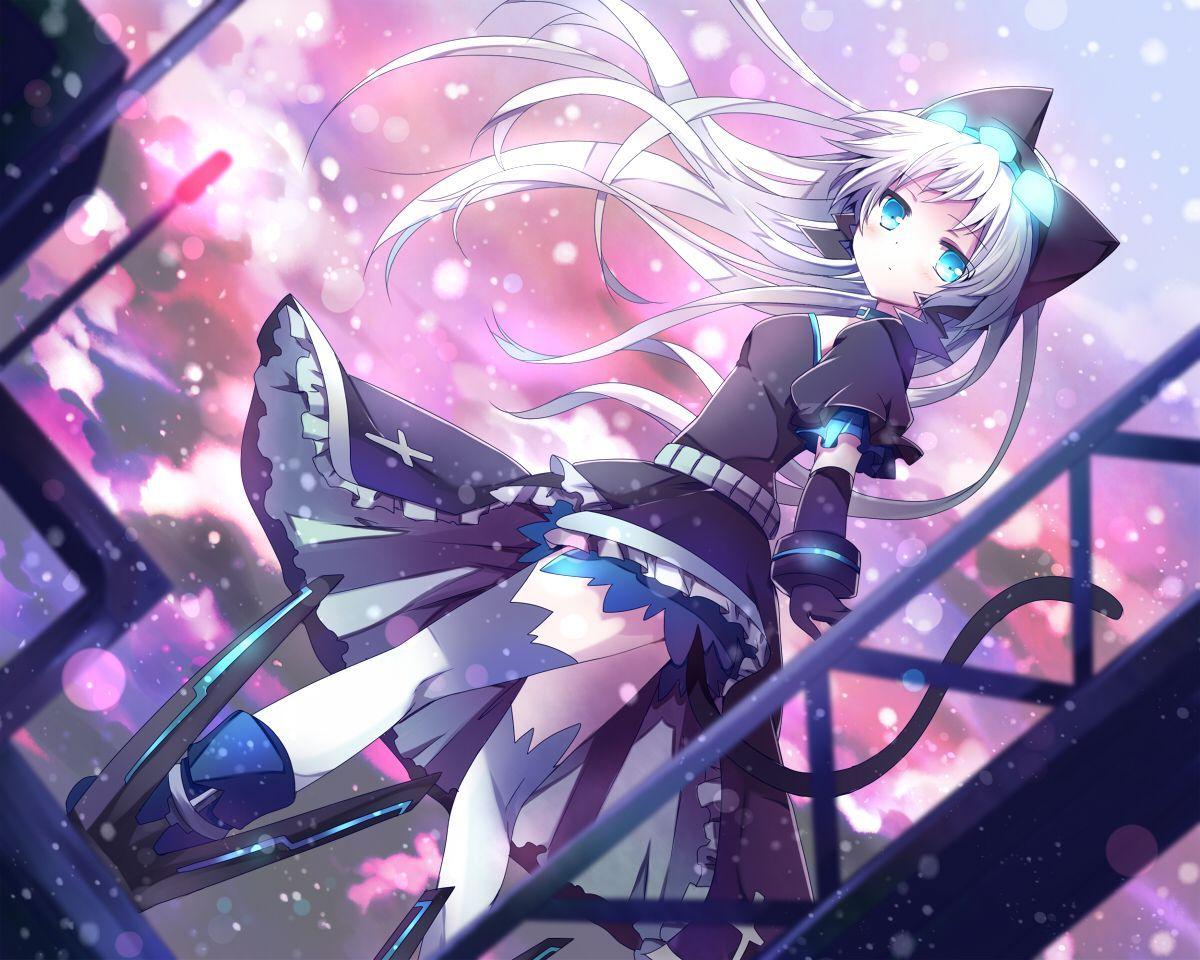 1200x960 Anime Neko Girl Wallpaper
