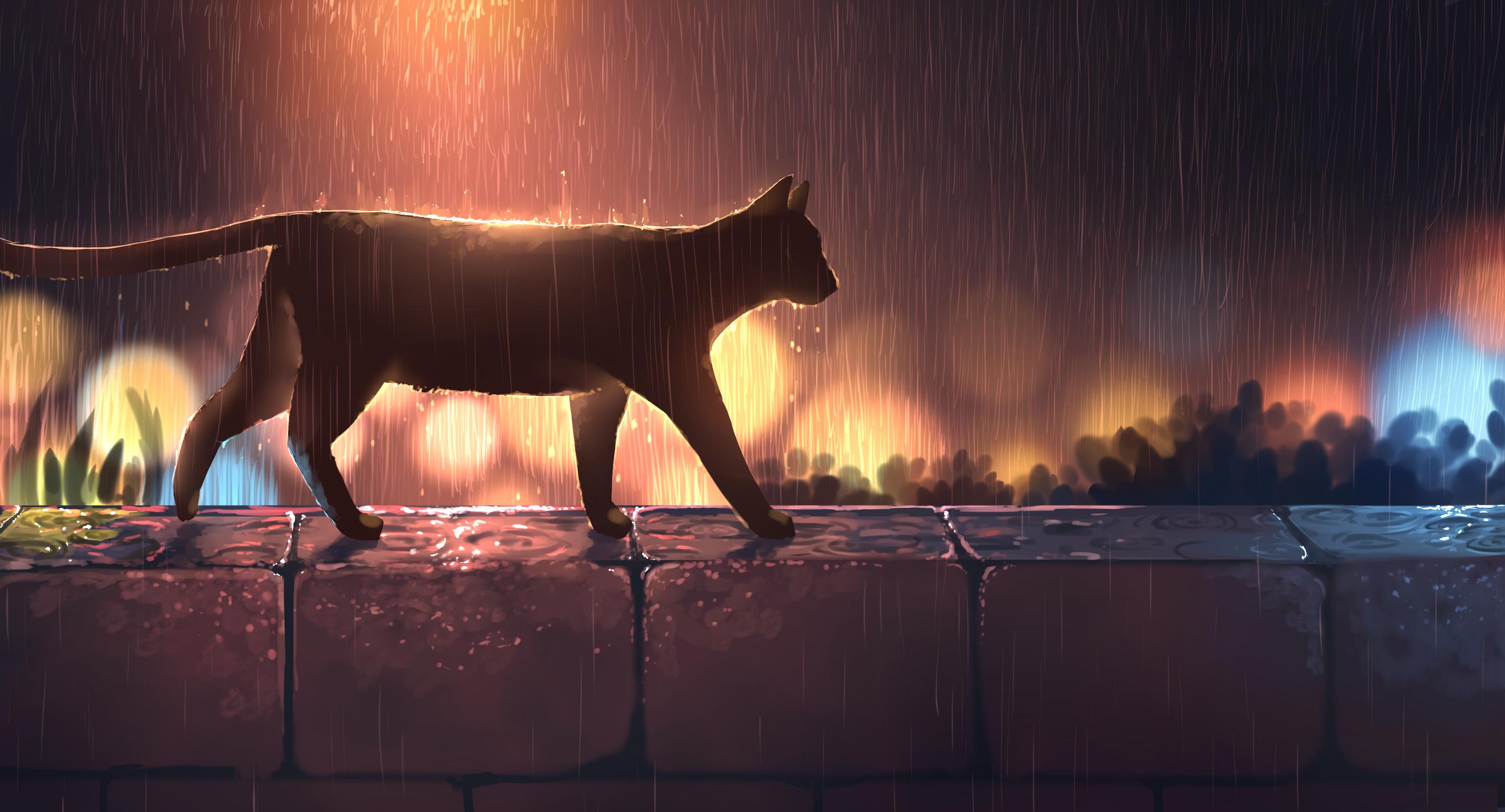 2852x1540 Anime Cat HD Wallpaper and Background