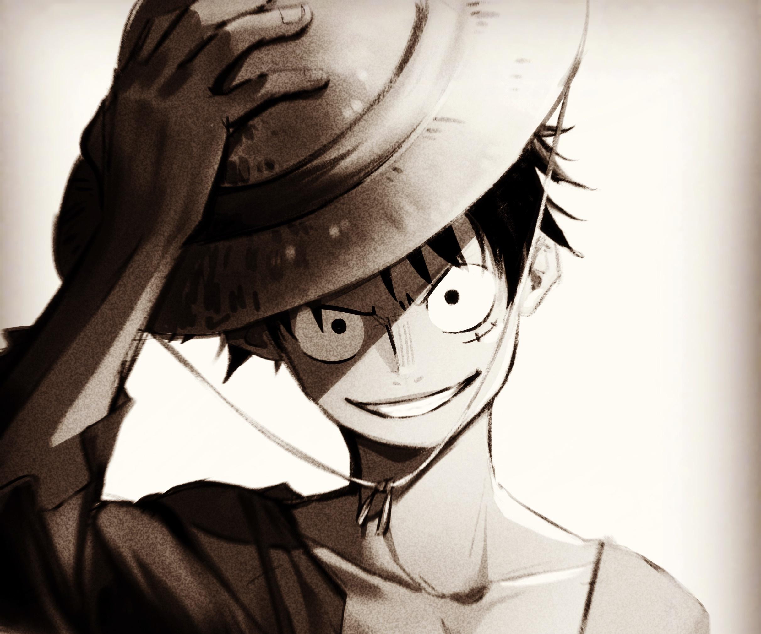 2423x2019 One Piece HD, Monkey D. Luffy Gallery HD Wallpaper