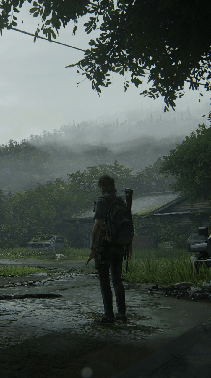 714x1275 Last Of Us 2 iPhone Wallpaper