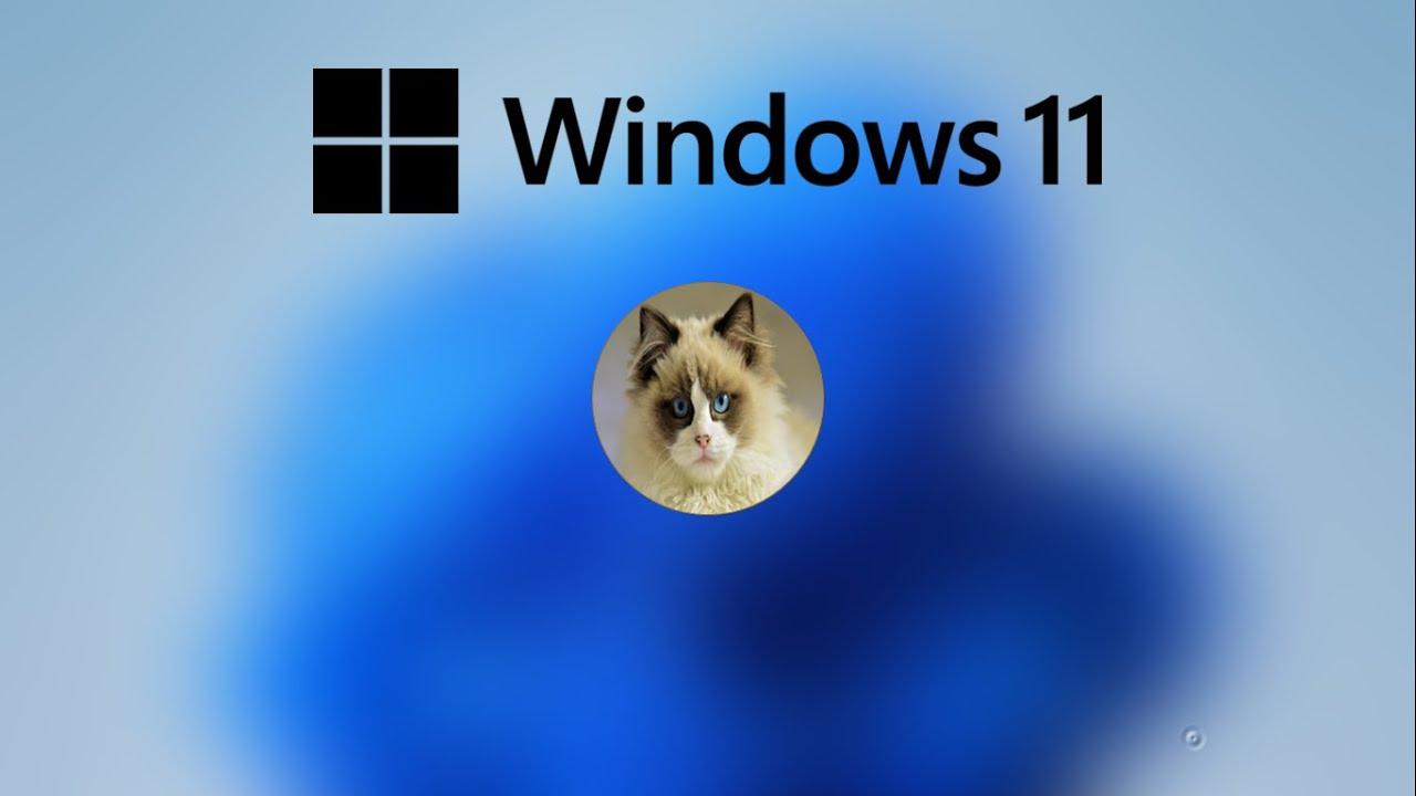 1280x720 How to Set Profile Picture in Windows 11