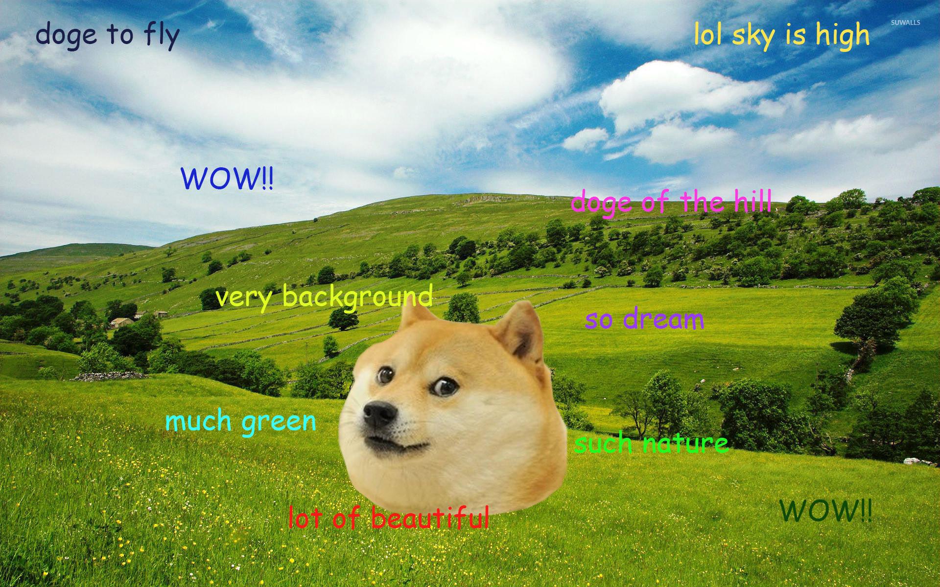 1920x1200 Doge [7] wallpaper