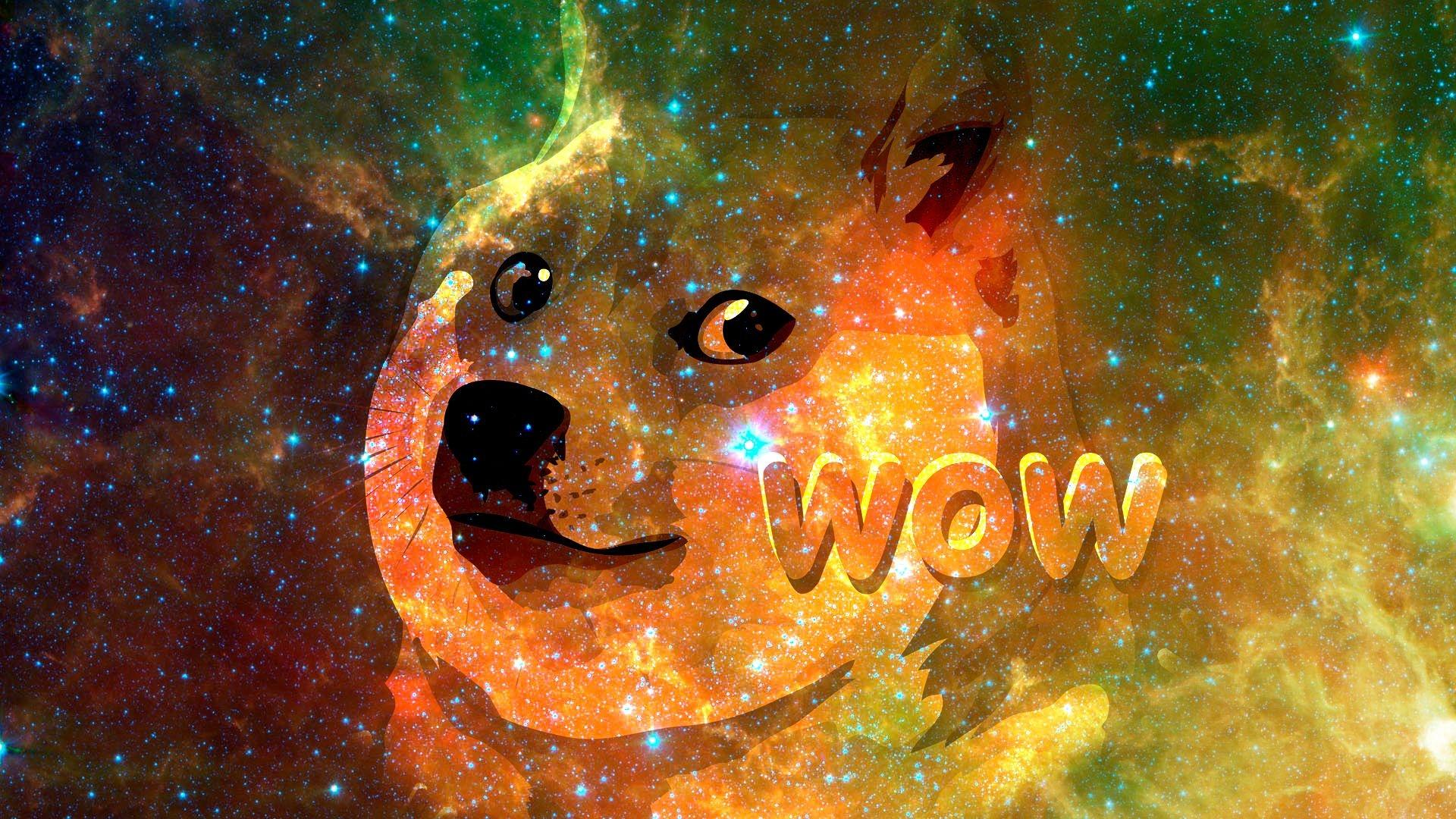 1920x1080 Doge HD Wallpaper and Background