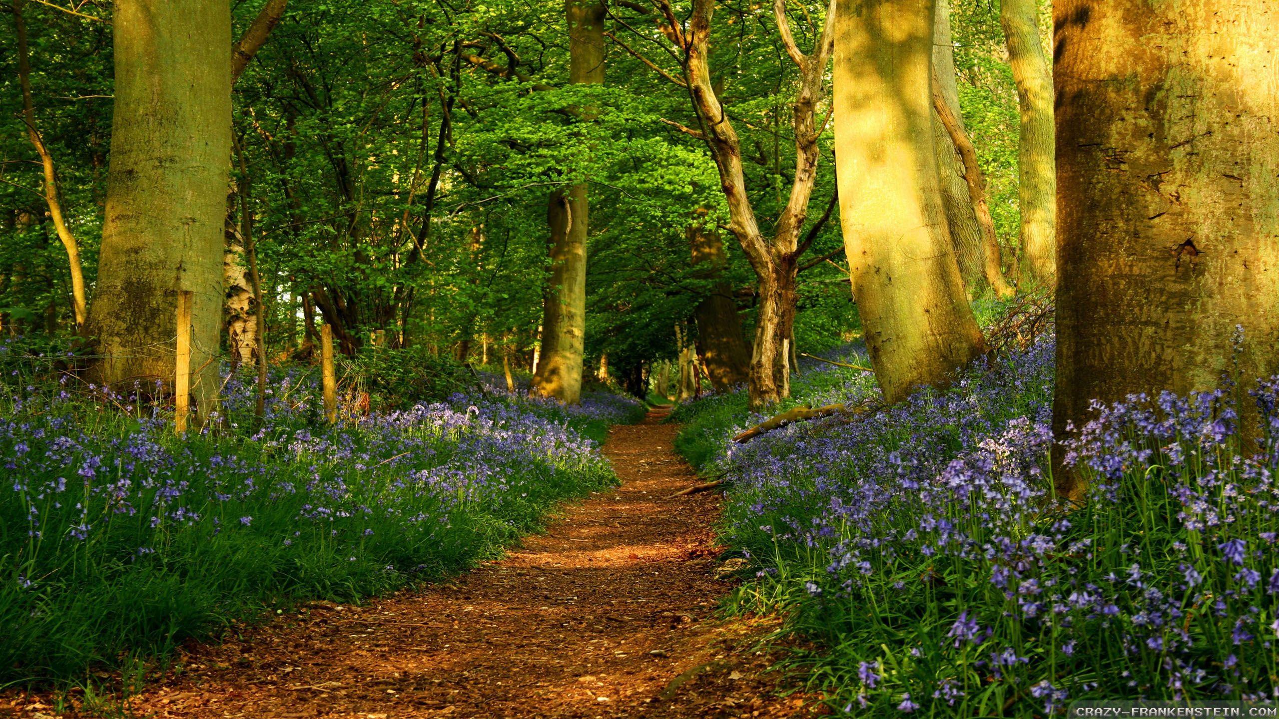 Spring Path Wallpapers - Top Free Spring Path Backgrounds - WallpaperAccess