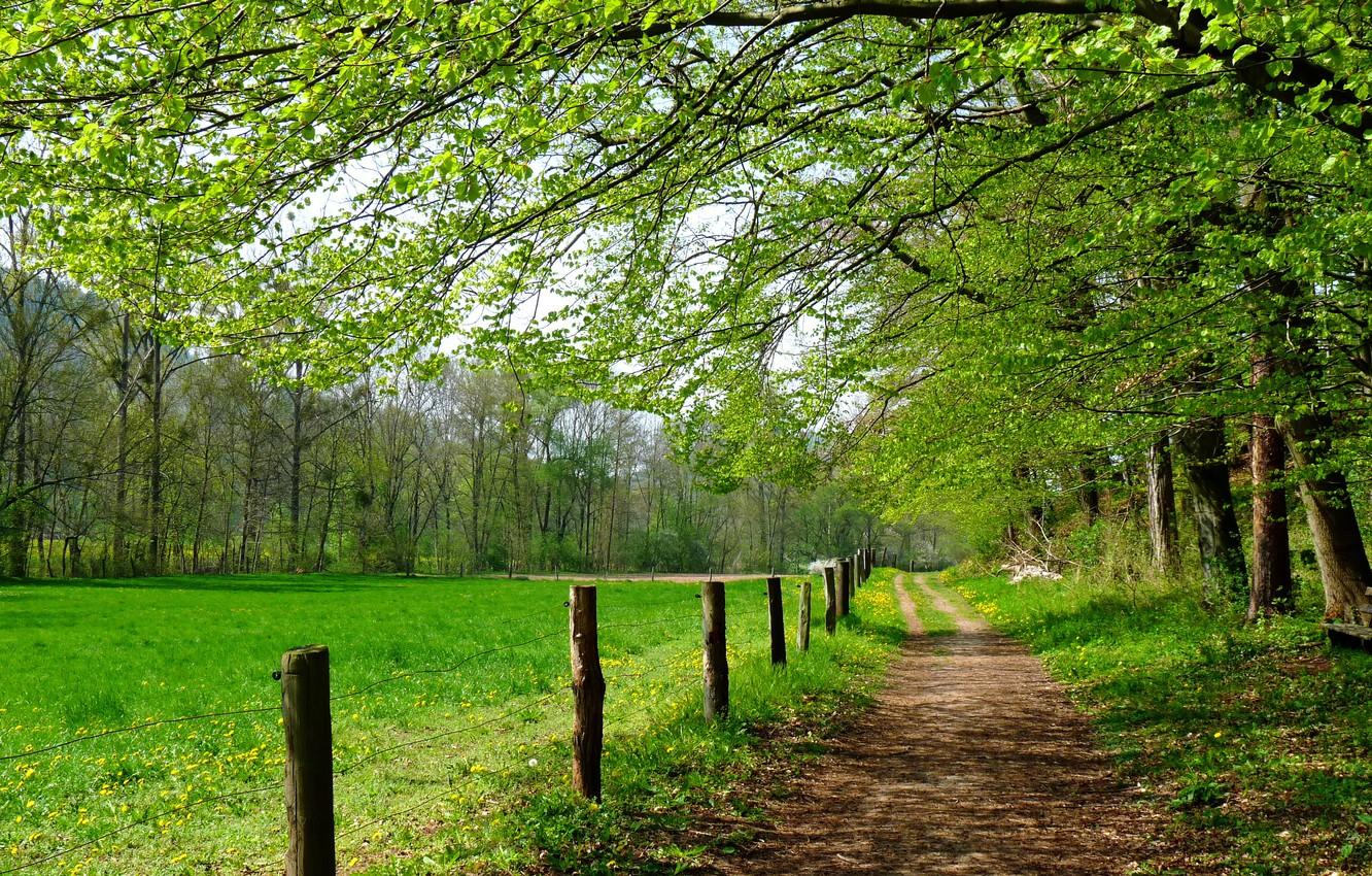 Spring Path Wallpapers - Top Free Spring Path Backgrounds - WallpaperAccess