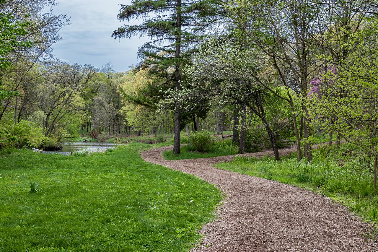 Spring Path Wallpapers - Top Free Spring Path Backgrounds - WallpaperAccess