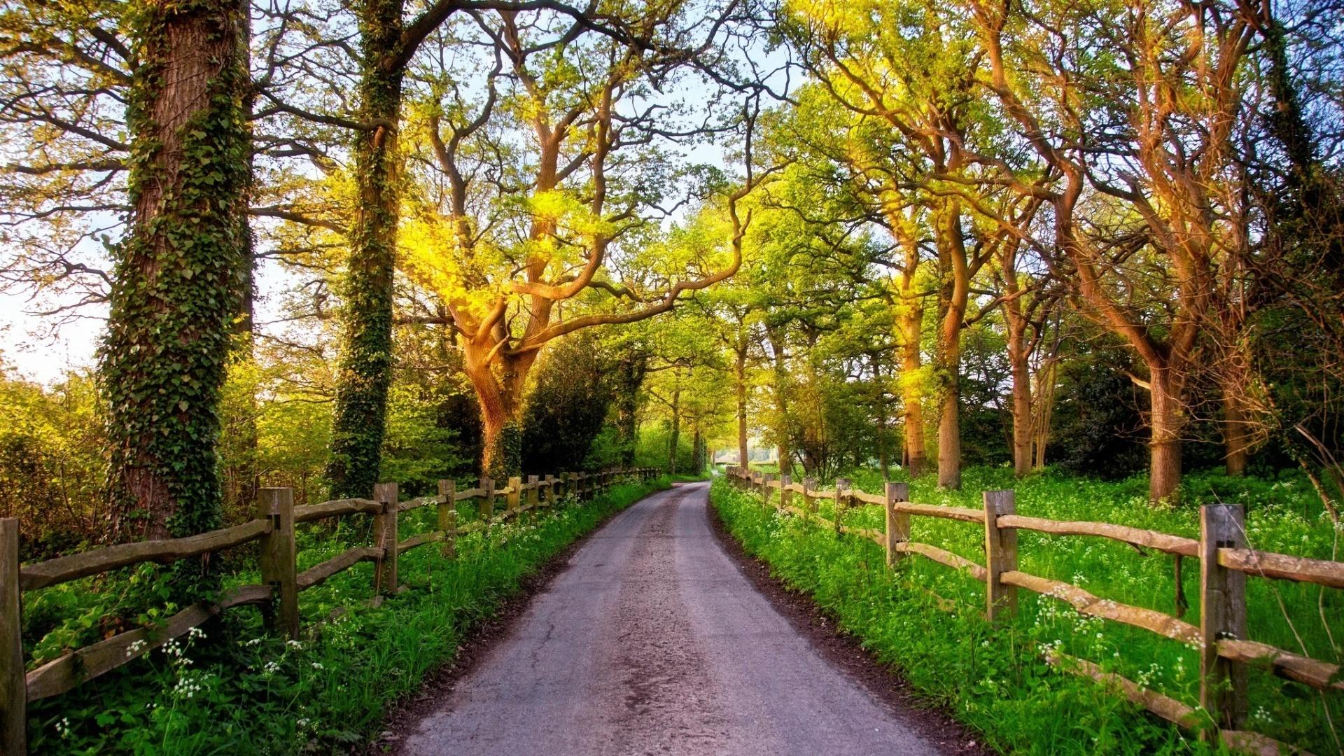 Spring Path Wallpapers - Top Free Spring Path Backgrounds - WallpaperAccess