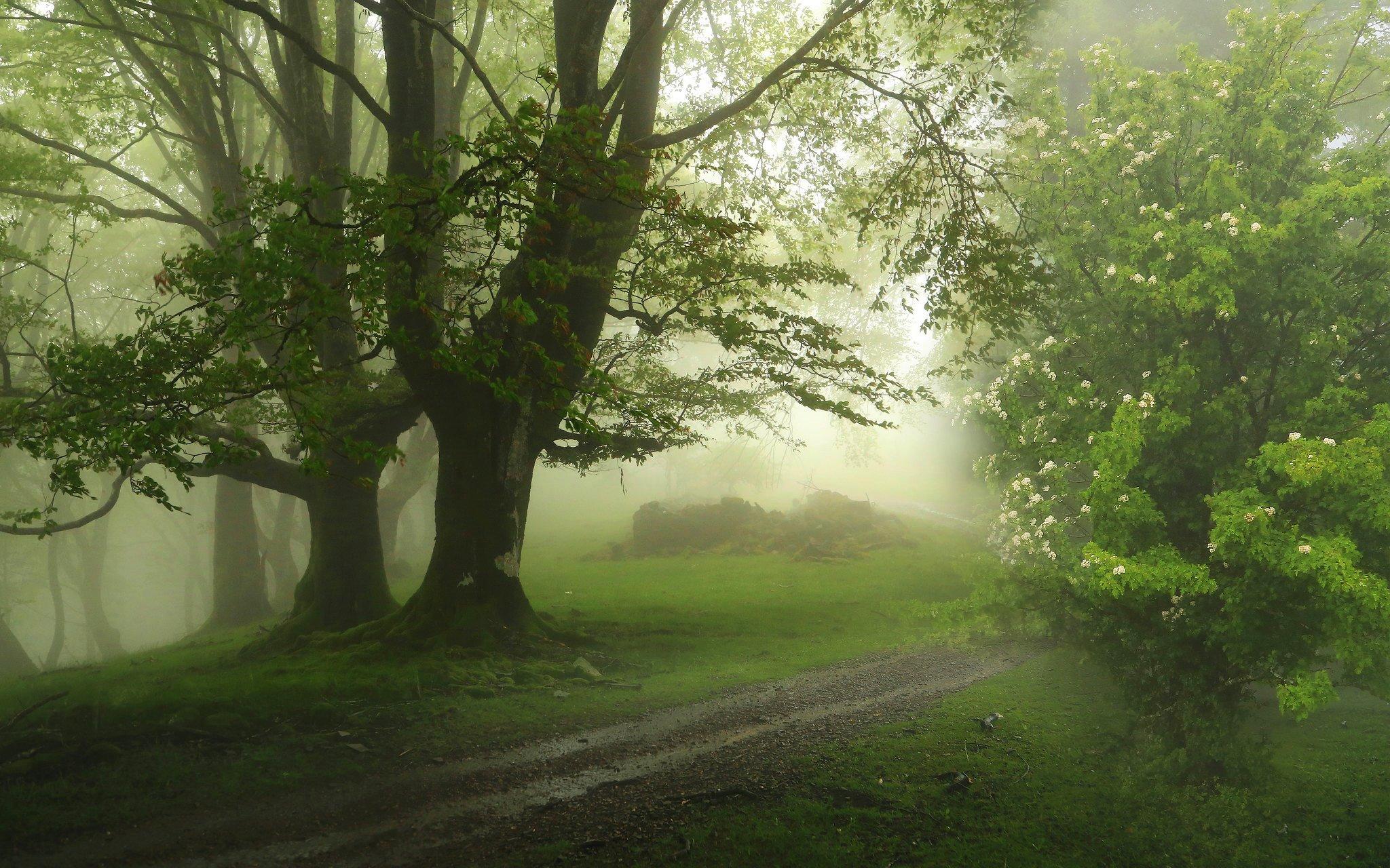Spring Path Wallpapers - Top Free Spring Path Backgrounds - WallpaperAccess