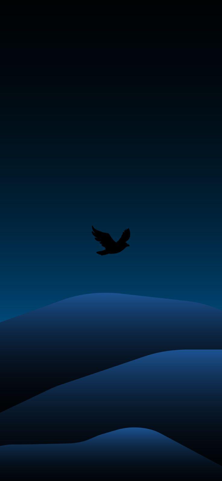 736x1593 BEAUTIFUL MINIMALIST DARK WALLPAPER IPHONE 4K