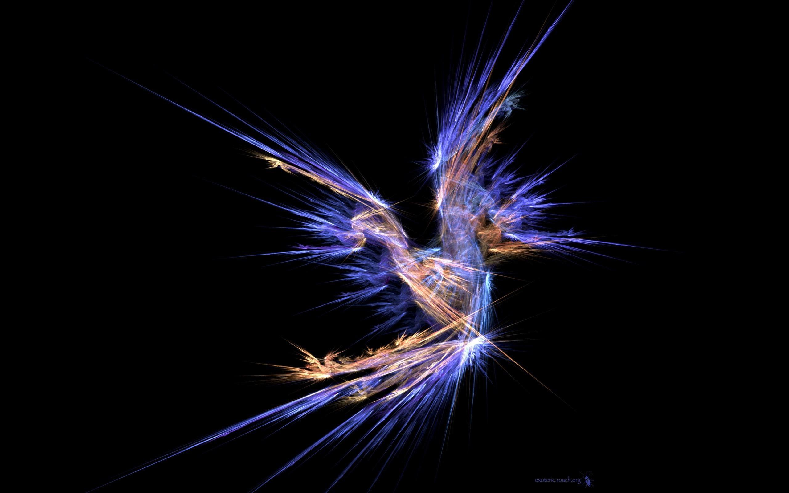 2560x1600 Phoenix Bird Wallpaper