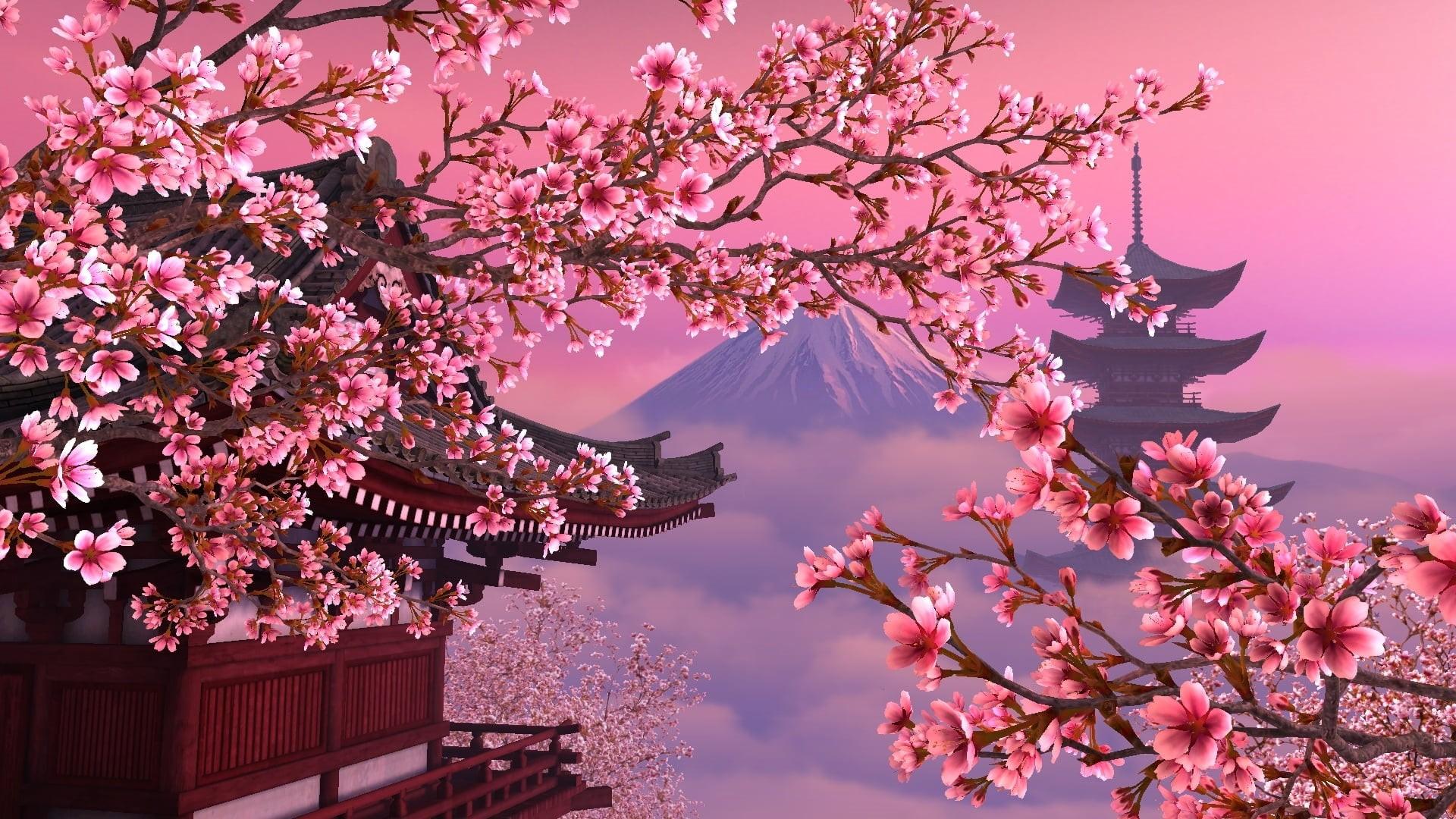 1920x1080 Wallpaper / beautiful, vulnerability, famous Place, sky, decoration, japanese Culture, tree, plum blossom, east Asian Culture, pink, tokyo Prefecture, cherry, architecture free download