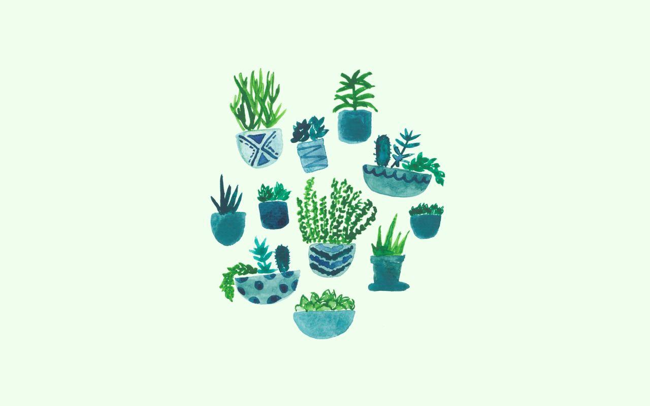 1280x801 Cute Aesthetic Plant Wallpaper