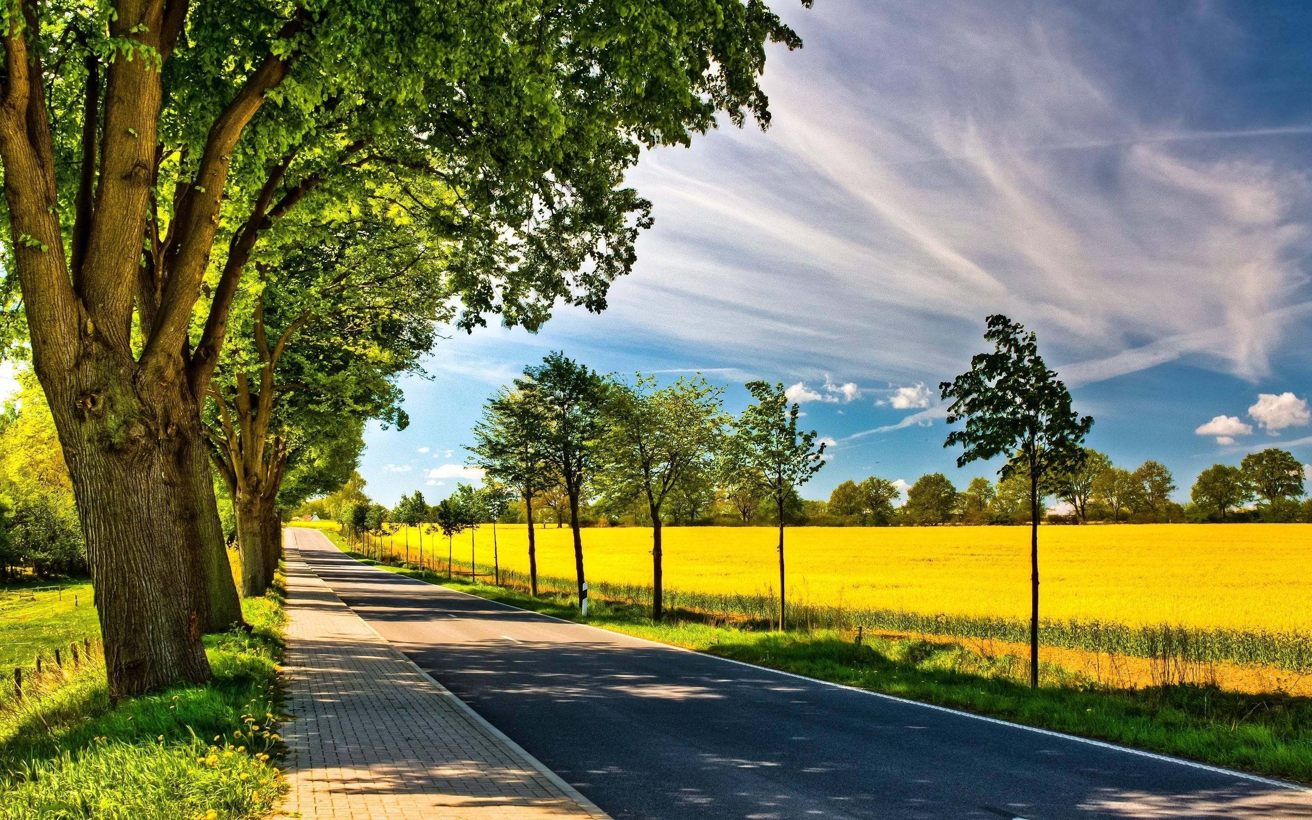 2560x1600 clouds, Trees, Leaves, Wildlife, Fields, Path, Spring, season, Roads, Sunny Wallpaper HD / Desktop and Mobile Background