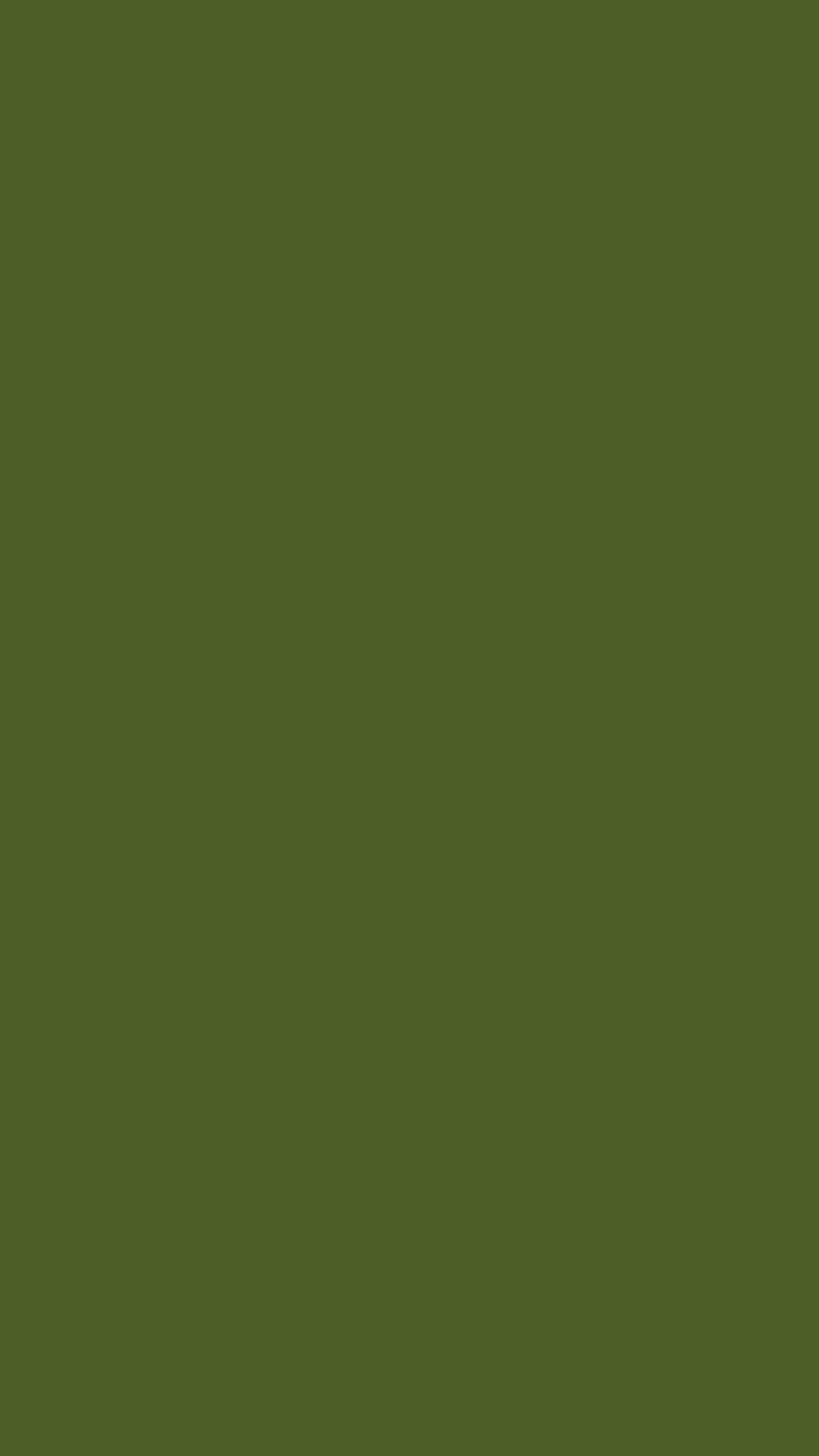 2160x3840 Dark Moss Green Solid Color Background Wallpaper For Mobile