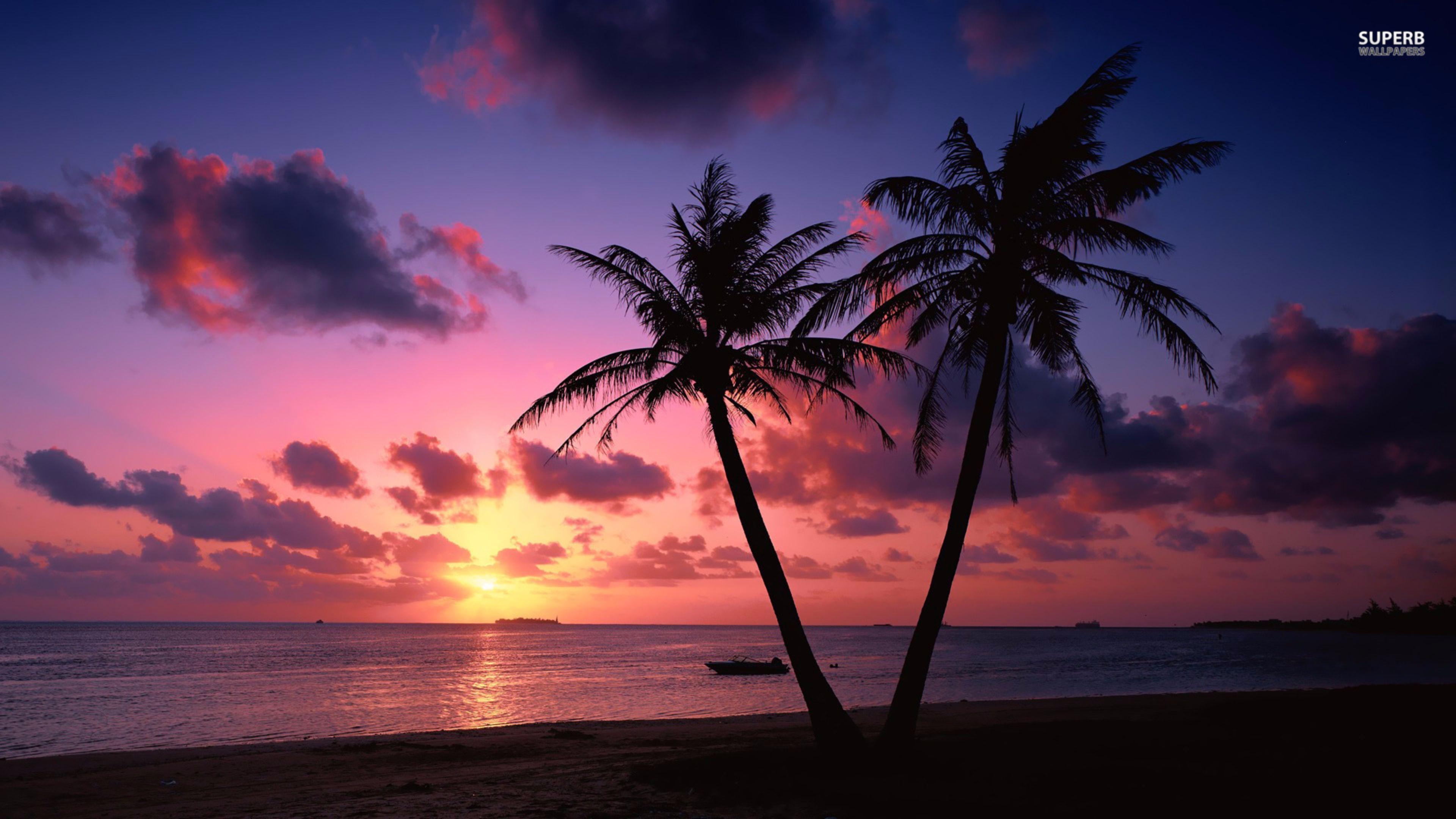 Tropical Sunset 4K Wallpapers - Top Free Tropical Sunset 4K Backgrounds ...