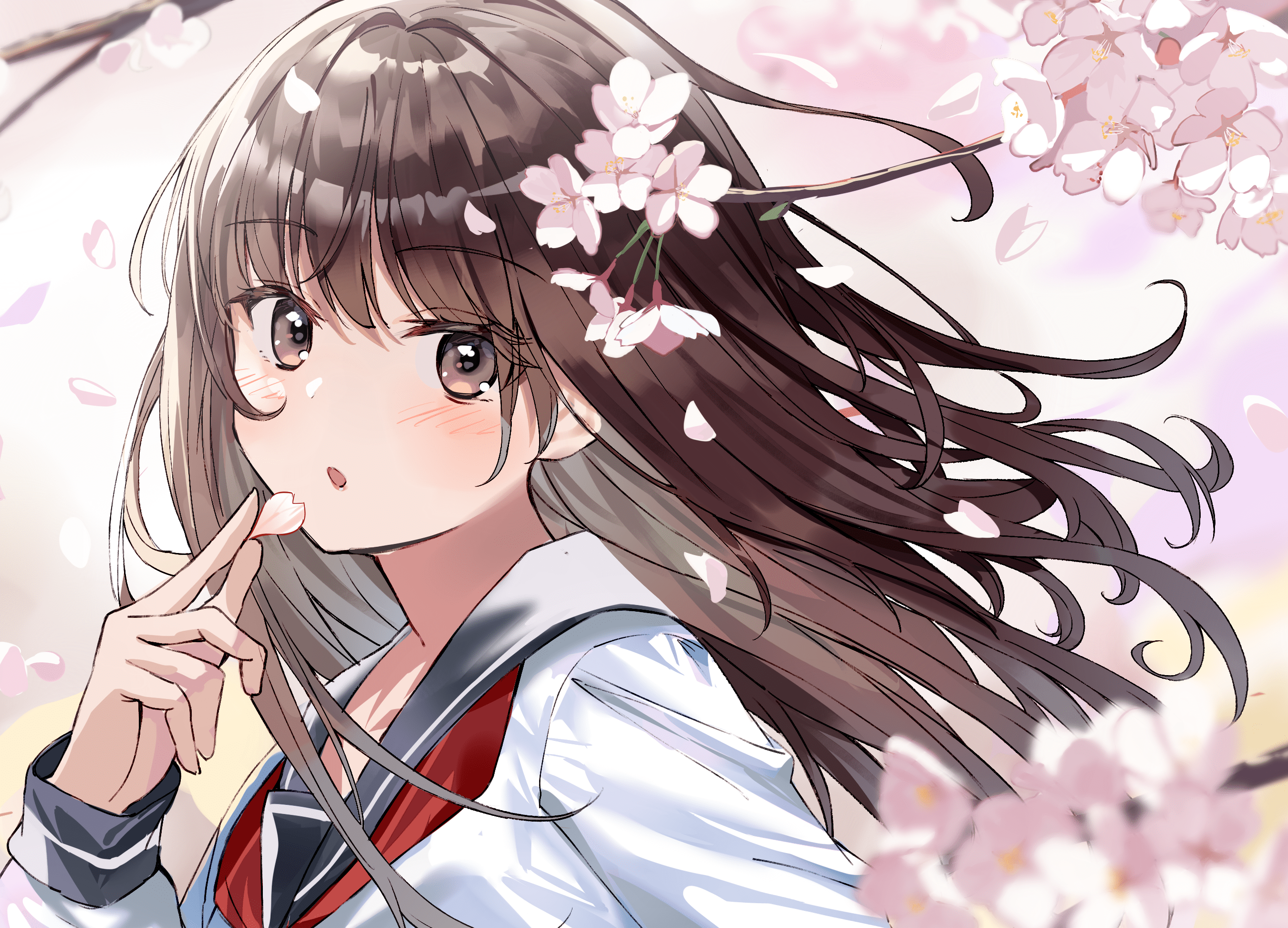 2700x1945 Girl HD, Brown Hair, Cherry Blossom, Brown Eyes Gallery HD Wallpaper