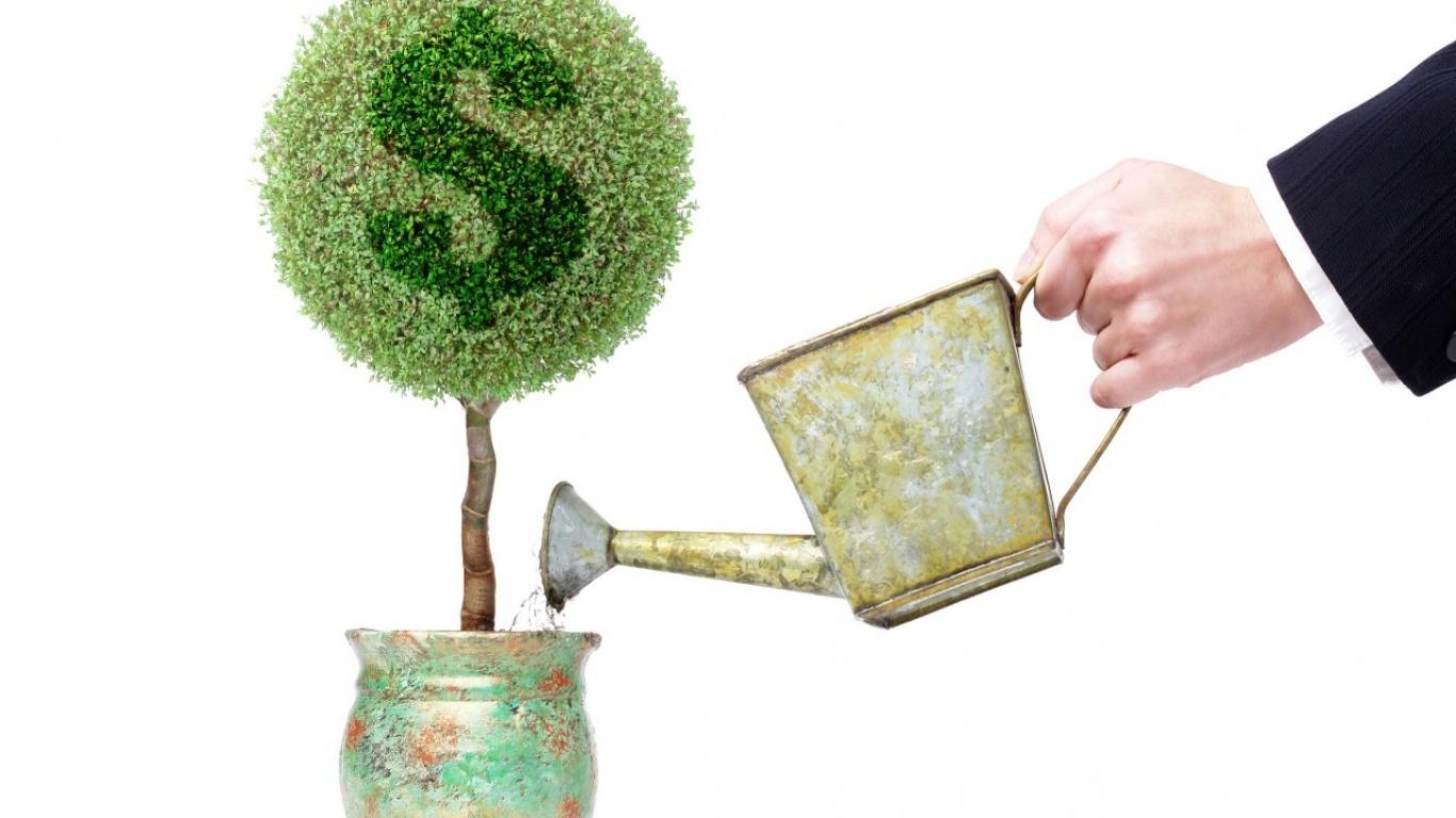 Money Tree Wallpapers - Top Free Money Tree Backgrounds - WallpaperAccess