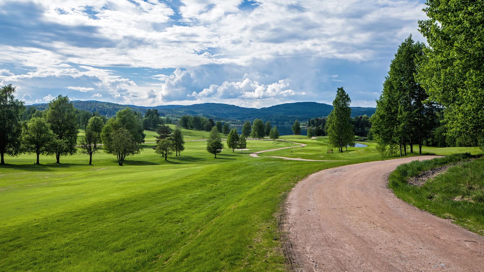 1920x1080 Norway Summer Landscape Wallpaper, Grass, Trees, Road, Hills, Green
