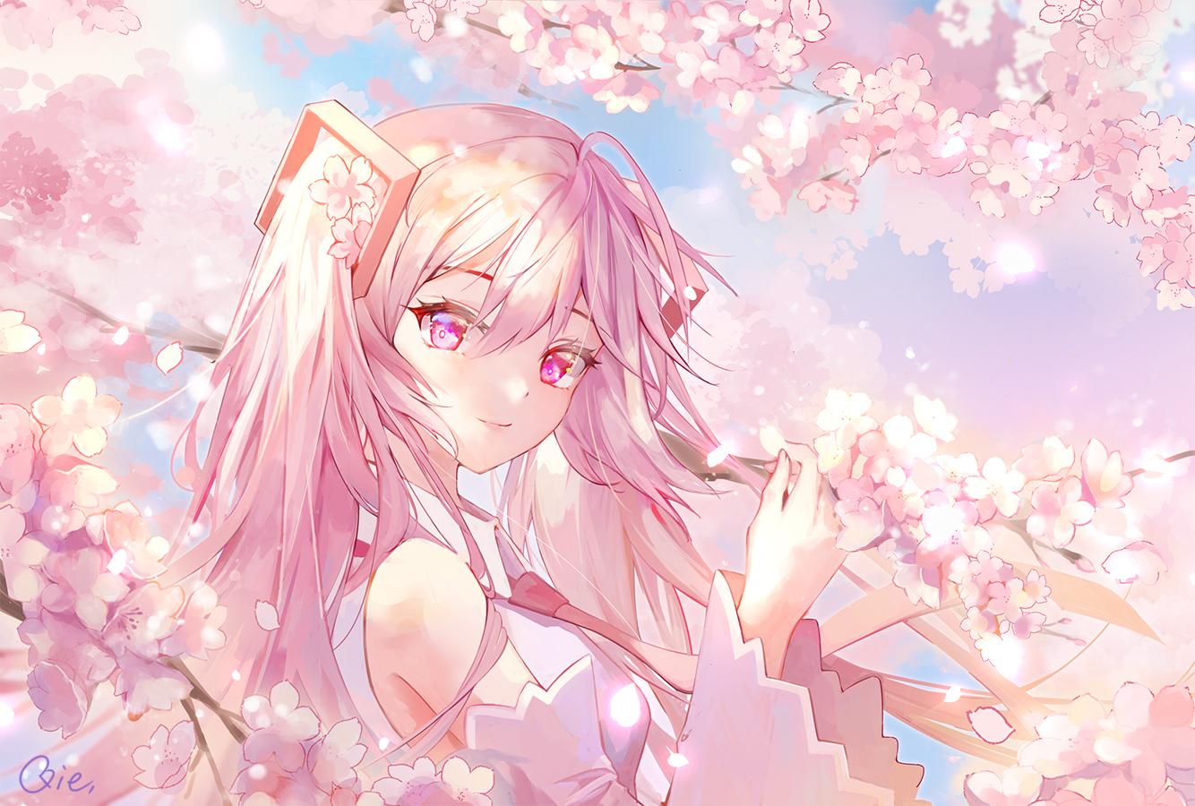 1334x900 cherry blossoms close flowers hatsune miku pink eyes pink hair qie sakura miku signed tie twintails vocaloid. konachan.com.com Anime Wallpaper