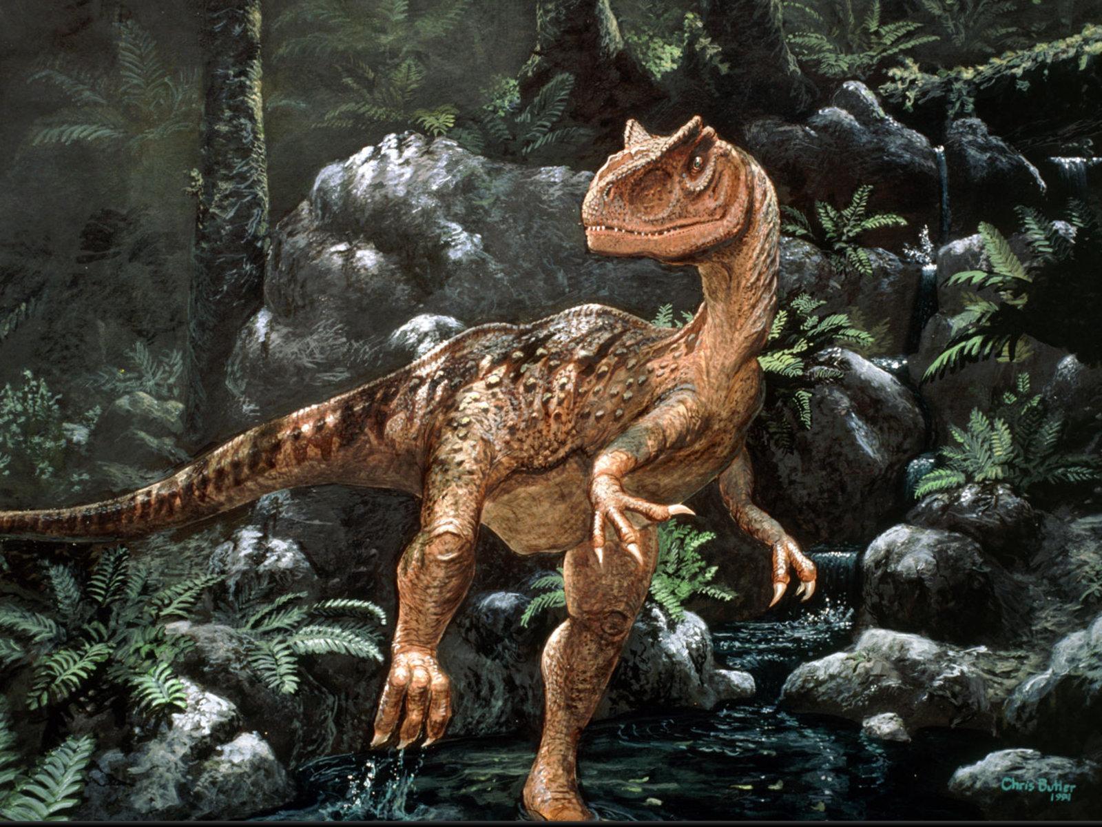 1600x1200 Dinosaur Wallpaper