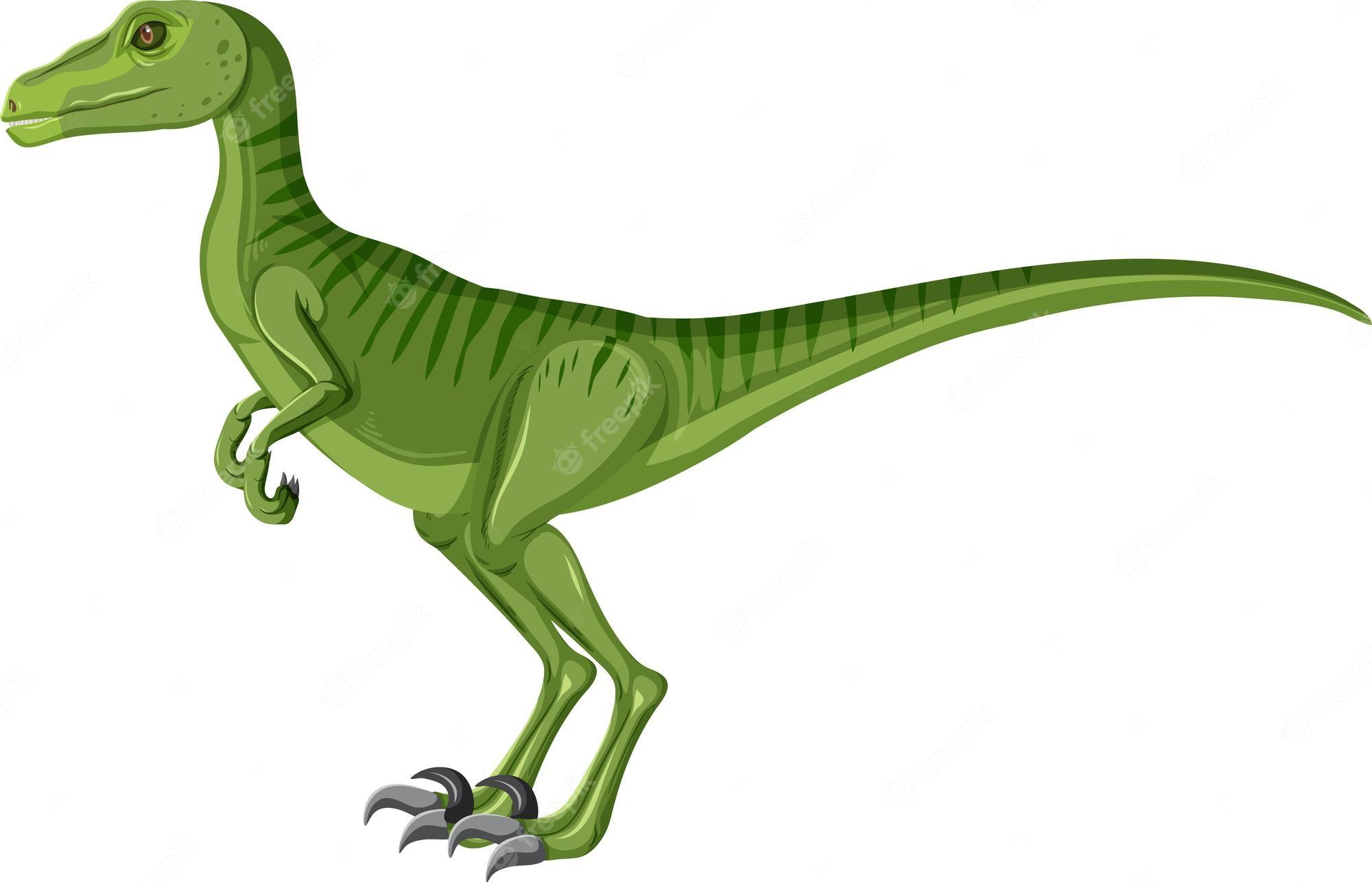 2000x1286 Free Vector. Velociraptor dinosaur on white background