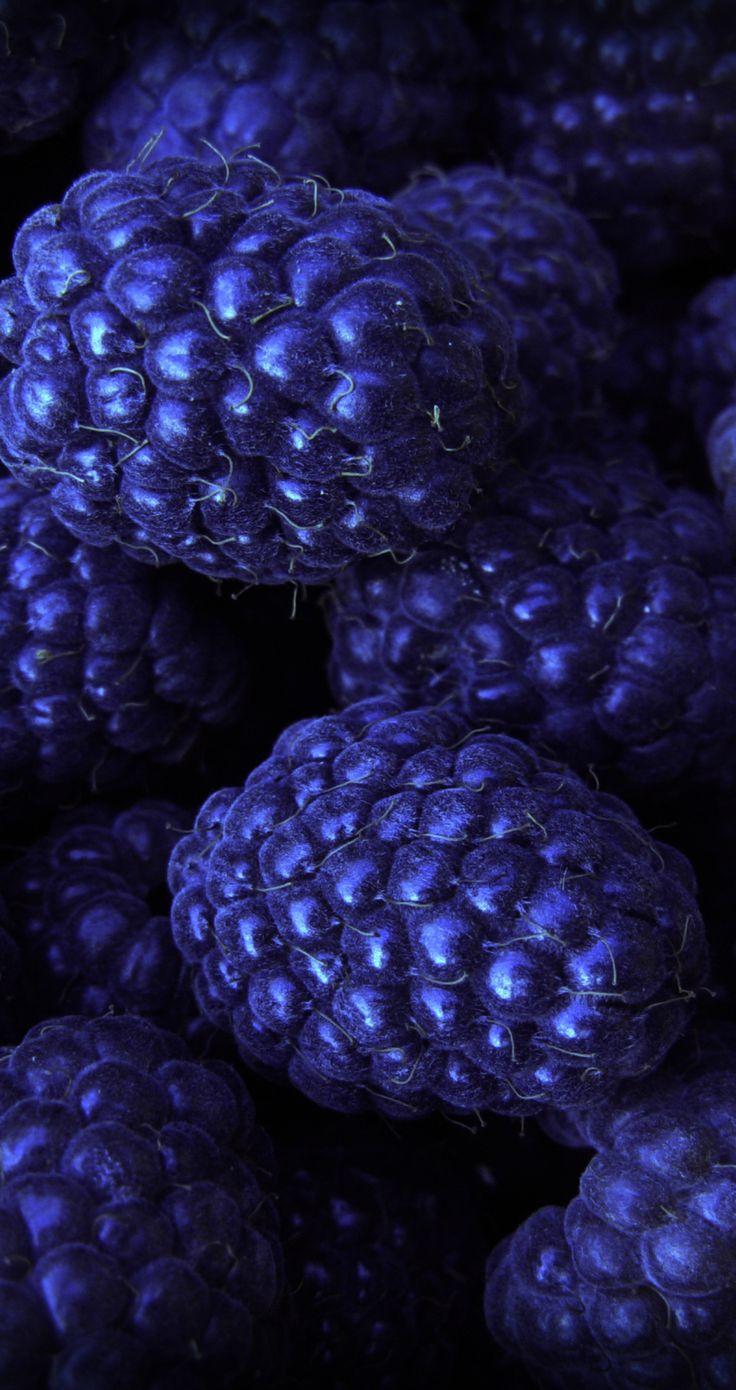 736x1390 Wallpaper #wallpaper #photo #phone #picture #beautiful #nice #wonderful #image #view #nature. Purple wallpaper, iPhone wallpaper, Wallpaper