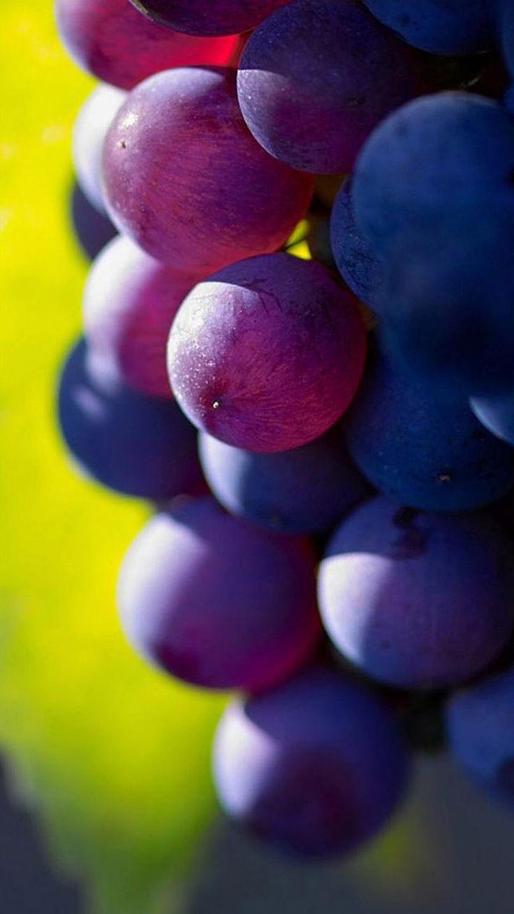 736x1308 Simple Pleasures.all in Bokeh. Grapes, Fruit photography, Fruit wallpaper