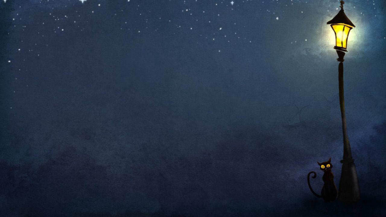 1280x720 Wallpaper cat, night, lights hd, picture, image