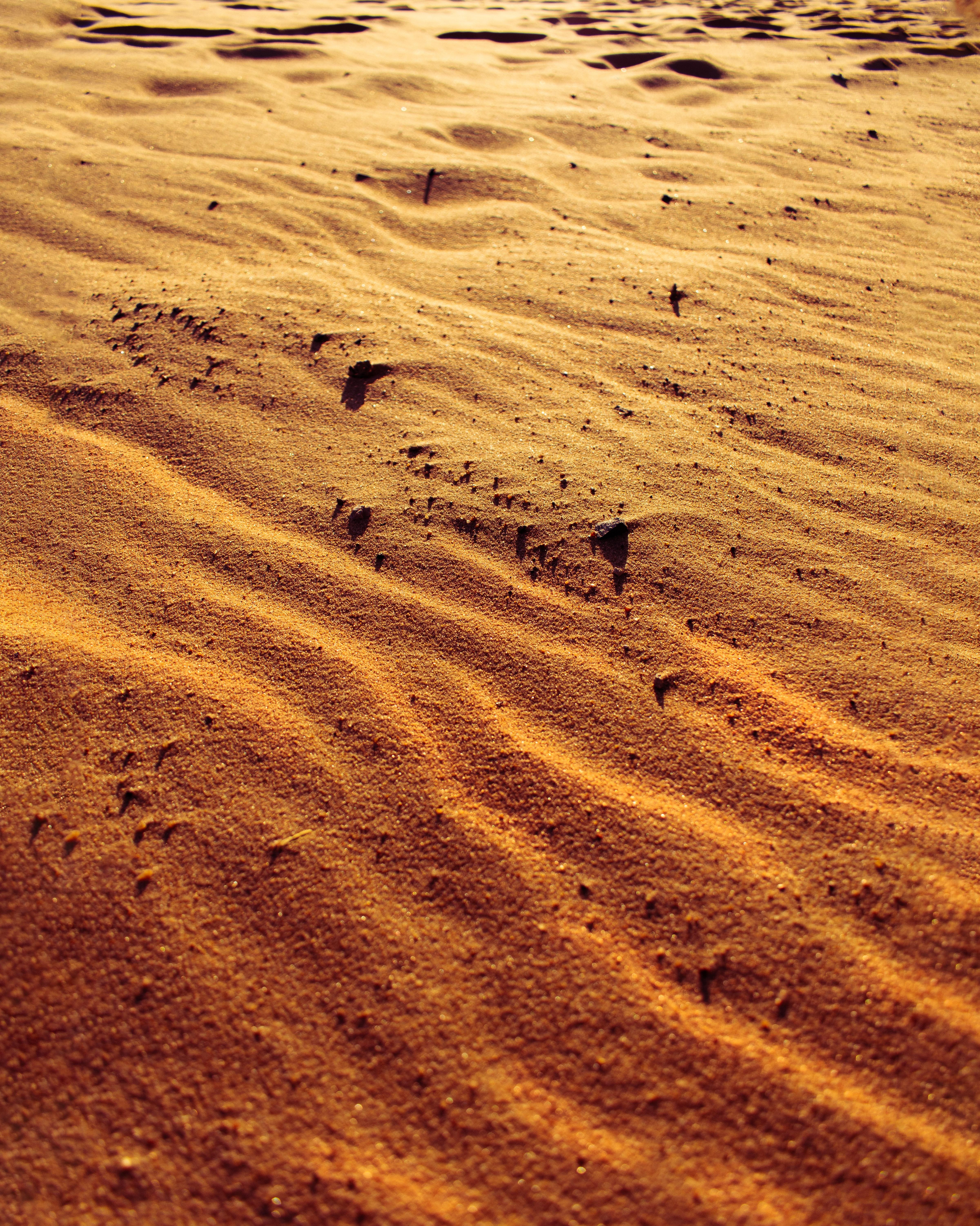 4800x6000 Egypt Desert Photo, Download The BEST Free Egypt Desert & HD Image