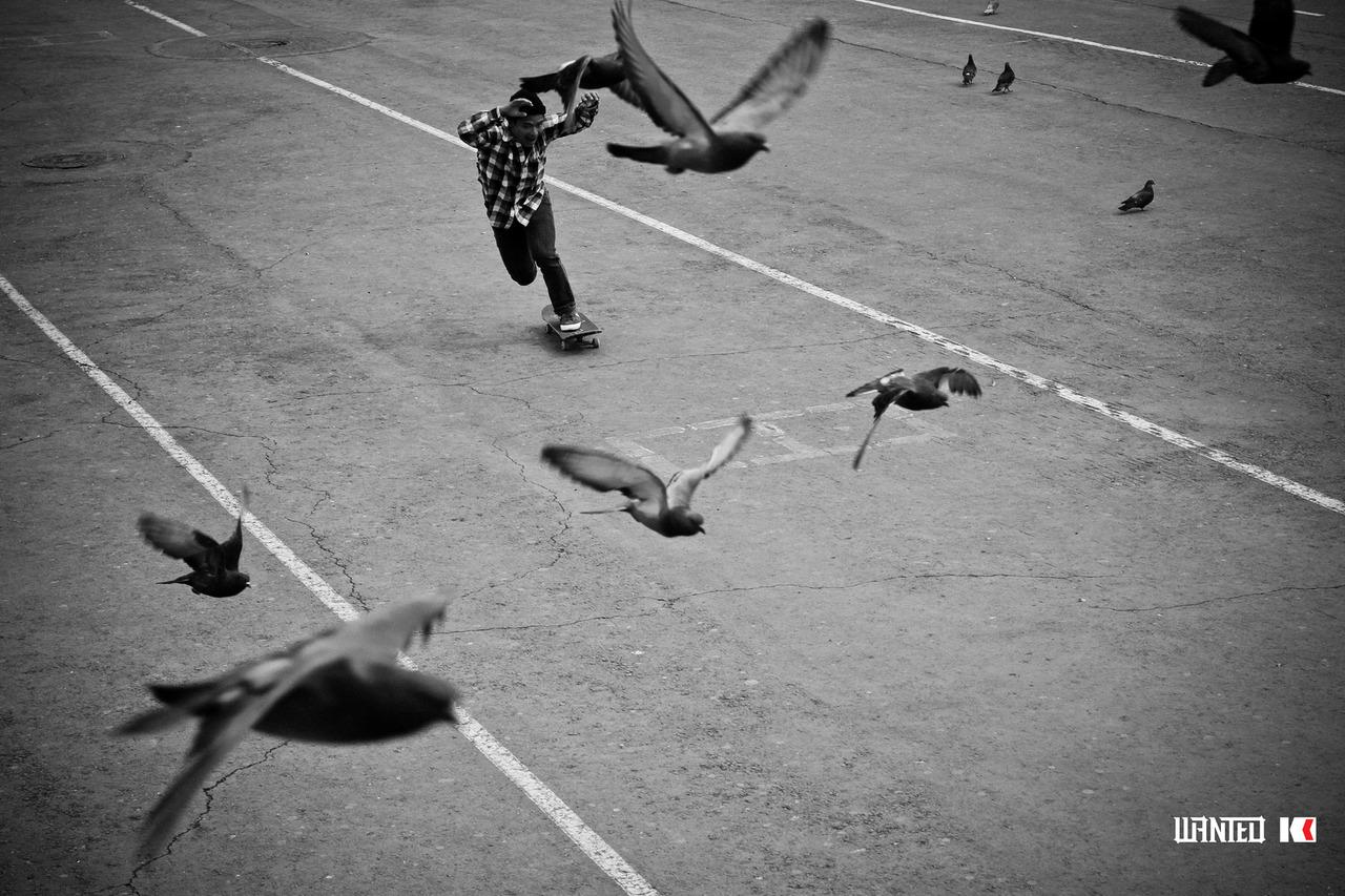 1280x853 Free download Adidas Skateboarding Wallpaper Skateboarding Wallpaper Skateboard [1280x853] for your Desktop, Mobile & Tablet. Explore Adidas Skateboarding Wallpaper. Skateboarding Wallpaper, Adidas Wallpaper, Skateboarding Wallpaper