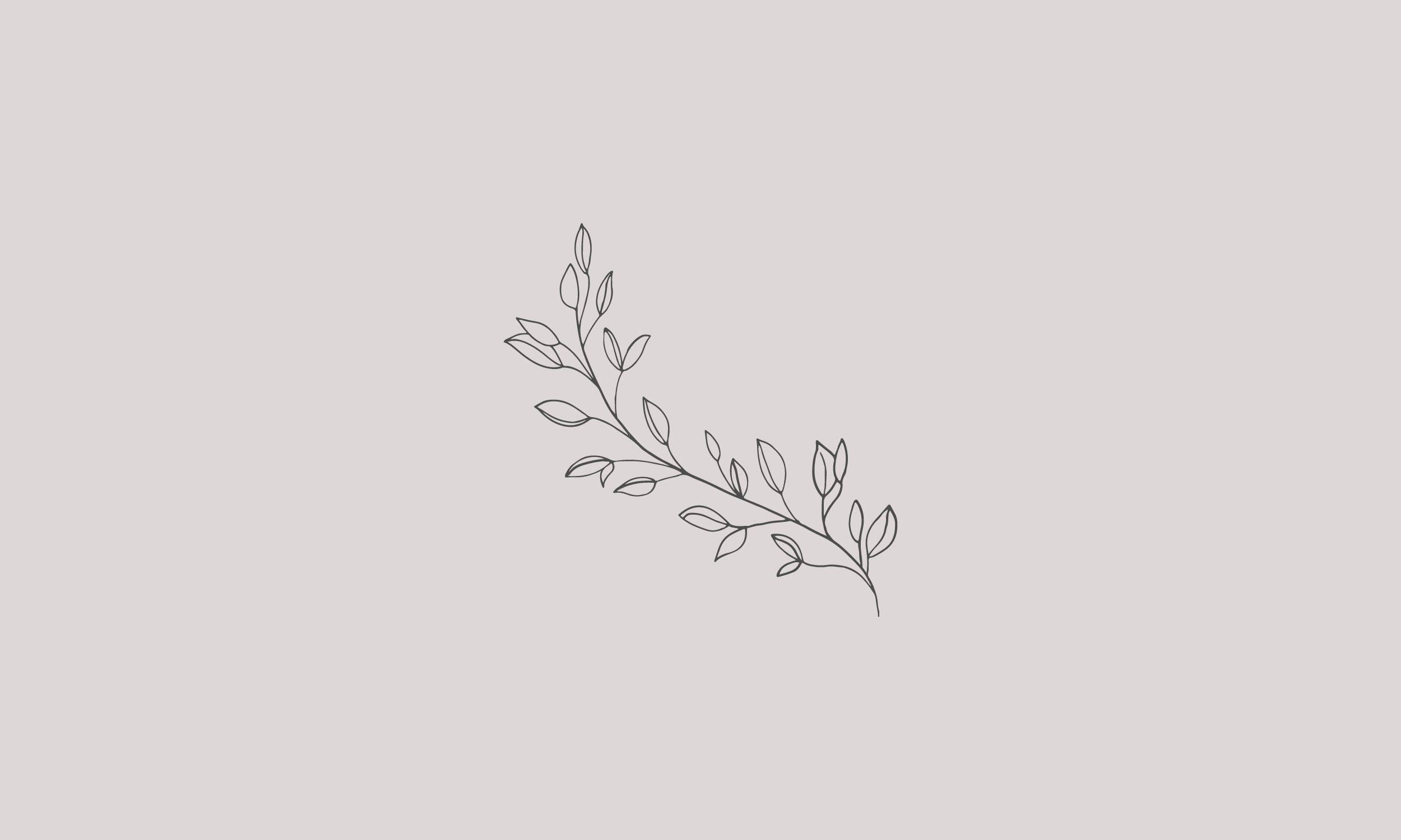 2500x1500 Download Leaf Branch Minimalist Aesthetic Laptop Wallpaper