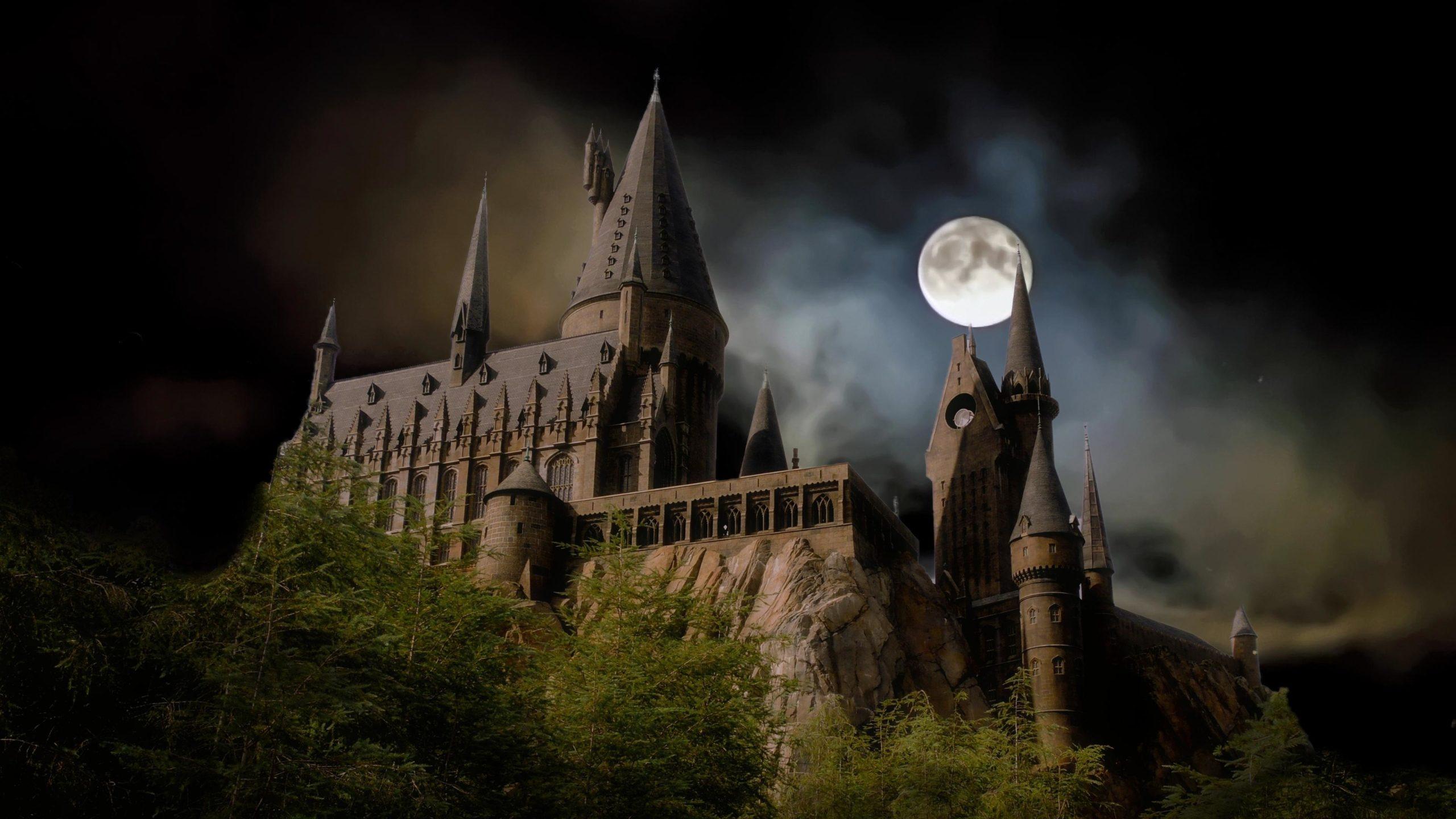 2560x1440 Medieval Wallpaper