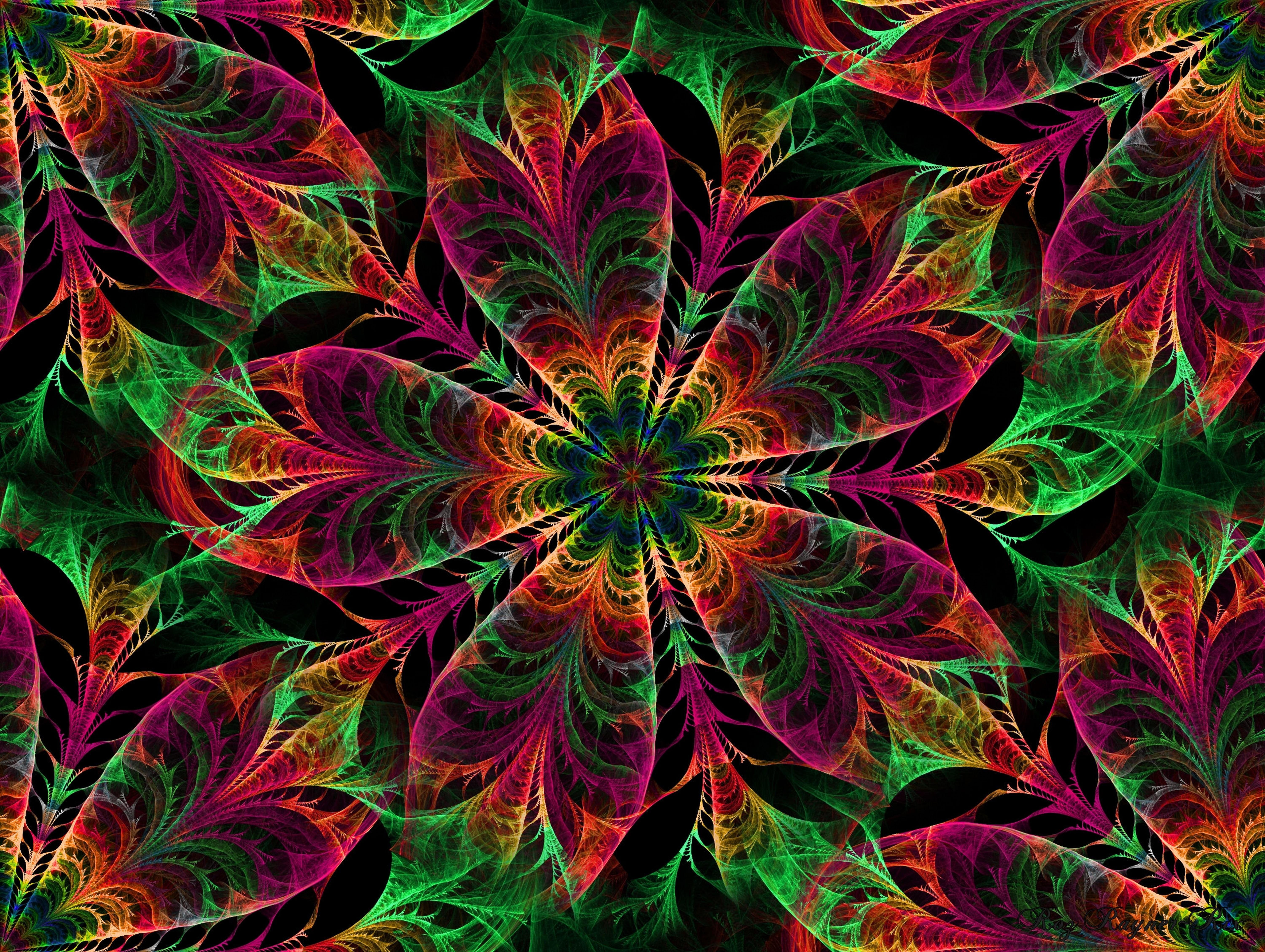 6000x4518 Wallpaper / Swirl, Art, Decoration, Psychedelic, Design, Multicolored, Circle, Ornate, Fractal, Shape, Wallpaper, Plant, Fantasy, Close Up, Full Frame, Leaf, Illustration Free Download