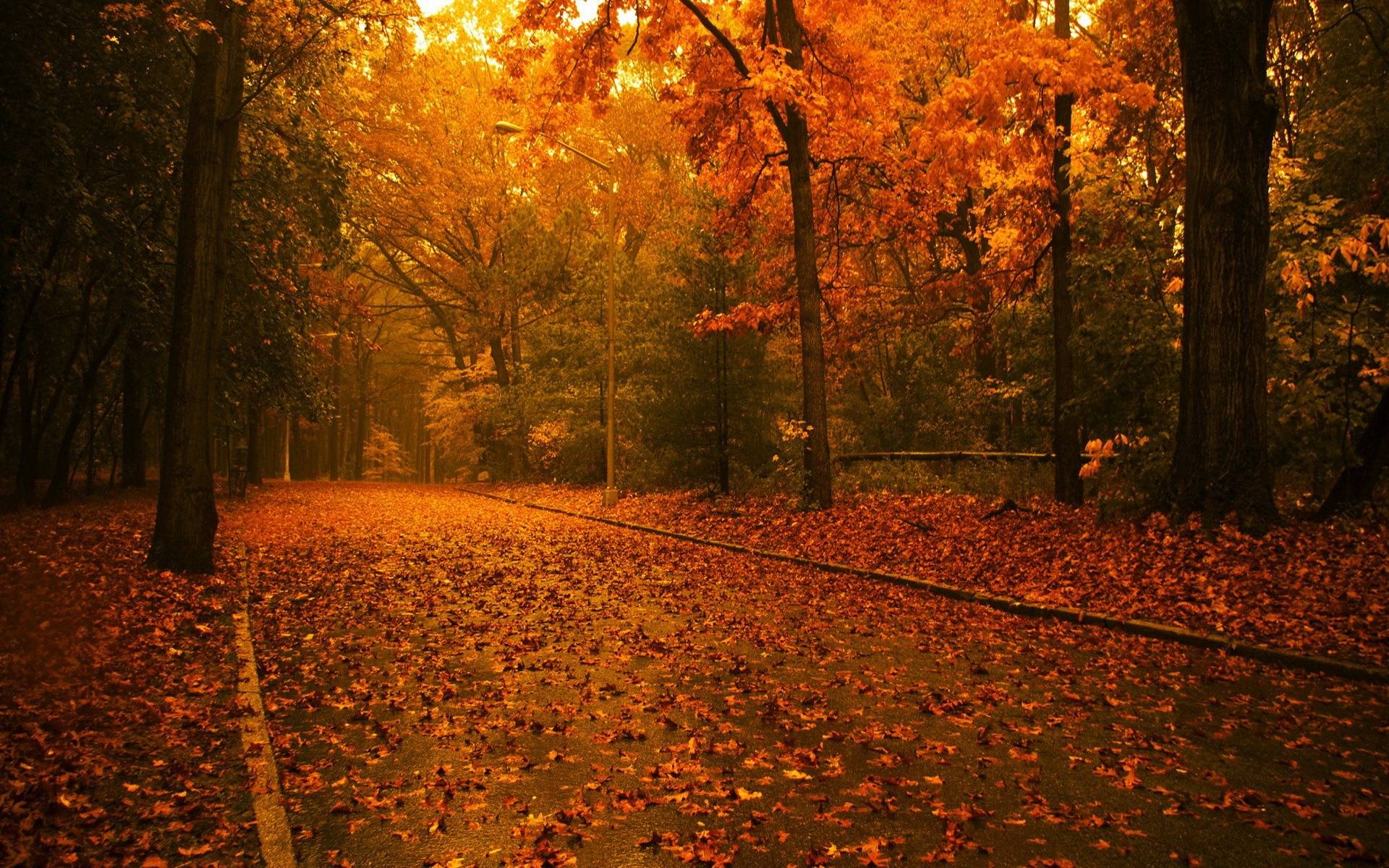 1920x1200 Autumn Storm Wallpaper