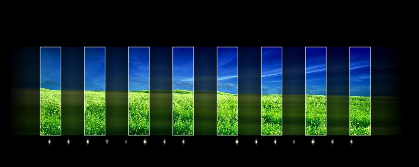 1600x640 Funny Dual Screen Wallpaper